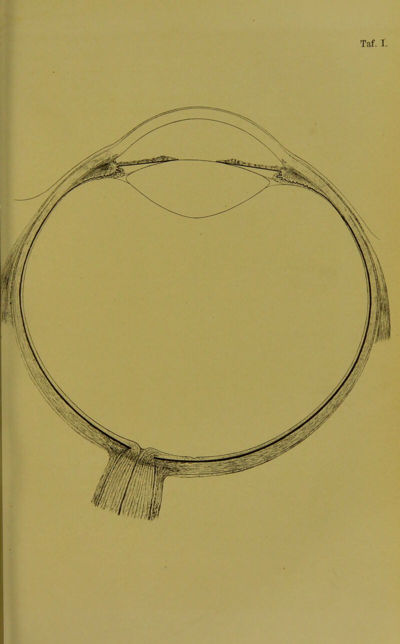 Taf. I.