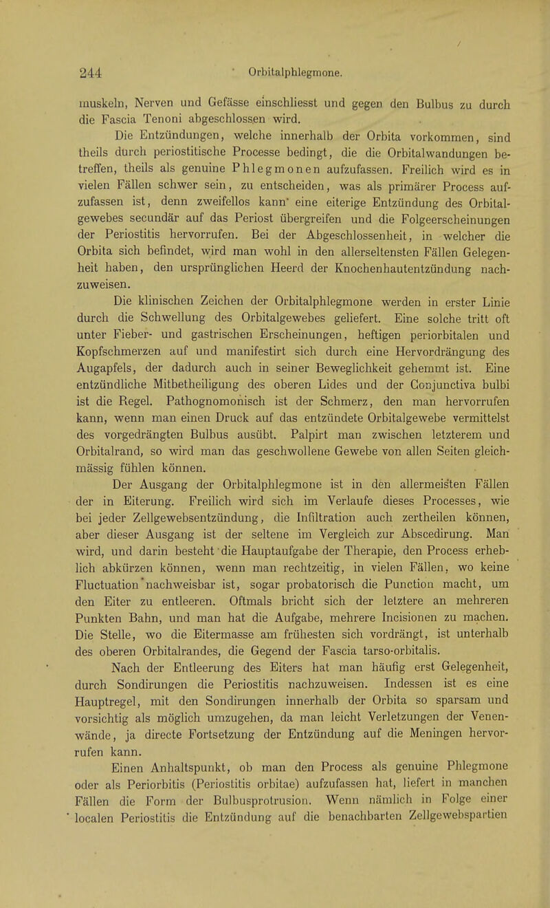 muskeln, Nerven und Gefässe einschliesst und gegen den Bulbus zu durch die Fascia Tenoni abgeschlossen wird. Die Entzündungen, welche innerhalb der Orbita vorkommen, sind theils durch periostitische Processe bedingt, die die Orbitalwandungen be- treffen, theils als genuine Phlegmonen aufzufassen. Freilich wird es in vielen Fällen schwer sein, zu entscheiden, was als primärer Process auf- zufassen ist, denn zweifellos kann eine eiterige Entzündung des Orbital- gewebes secundär auf das Periost übergreifen und die Folgeerscheinungen der Periostitis hervorrufen. Bei der Abgeschlossenheit, in welcher die Orbita sich befindet, wird man wohl in den allerseltensten Fällen Gelegen- heit haben, den ursprünglichen Heerd der Knochenhautentzündung nach- zuweisen. Die klinischen Zeichen der Orbitalphlegmone werden in erster Linie durch die Schwellung des Orbitalgewebes geliefert. Eine solche tritt oft unter Fieber- und gastrischen Erscheinungen, heftigen periorbitalen und Kopfschmerzen auf und manifestirt sich durch eine Hervordrängung des Augapfels, der dadurch auch in seiner Beweglichkeit gehemmt ist. Eine entzündliche Mitbetheiligung des oberen Lides und der Conjunctiva bulbi ist die Regel. Pathognomonisch ist der Schmerz, den man hervorrufen kann, wenn man einen Druck auf das entzündete Orbitalgewebe vermittelst des vorgedrängten Bulbus ausübt. Palpirt man zwischen letzterem und Orbitalrand, so wird man das geschwollene Gewebe von allen Seiten gleich- mässig fühlen können. Der Ausgang der Orbitalphlegmone ist in den allermeisten Fällen der in Eiterung. Freilich wird sich im Verlaufe dieses Processes, wie bei jeder Zellgewebsentzündung, die Infiltration auch zertheilen können, aber dieser Ausgang ist der seltene im Vergleich zur Abscedirung. Man wird, und darin besteht die Hauptaufgabe der Therapie, den Process erheb- lich abkürzen können, wenn man rechtzeitig, in vielen Fällen, wo keine Fluctuation'nachweisbar ist, sogar probatorisch die Punction macht, um den Eiter zu entleeren. Oftmals bricht sich der letztere an mehreren Punkten Bahn, und man hat die Aufgabe, mehrere Incisionen zu machen. Die Stelle, wo die Eitermasse am frühesten sich vordrängt, ist unterhalb des oberen Orbitalrandes, die Gegend der Fascia tarso-orbitalis. Nach der Entleerung des Eiters hat man häufig erst Gelegenheit, durch Sondirungen die Periostitis nachzuweisen. Indessen ist es eine Hauptregel, mit den Sondirungen innerhalb der Orbita so sparsam und vorsichtig als möglich umzugehen, da man leicht Verletzungen der Venen- wände, ja directe Fortsetzung der Entzündung auf die Meningen hervor- rufen kann. Einen Anhaltspunkt, ob man den Process als genuine Phlegmone oder als Periorbitis (Periostitis orbitae) aufzufassen hat, liefert in manchen Fällen die Form der Bulbusprotrusion. Wenn nämlich in Folge einer * localen Periostitis die Entzündung auf die benachbarten Zellgewebspartien