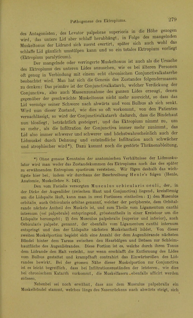 des Antagonisten, des Levator palpebrae superioris in die Höhe gezogen wird, das untere Lid aber schlaff herabhängt, in Folge des mangenden Muskeltonus der Lidrand sich zuerst evertirt, später sich auch wohl das schlaffe Lid gänzlich umstülpen kann und so ein totales Ektropium vorliegt (Ektropium paralyticum). Der mangelnde oder verringerte Muskeltonus ist auch als die Ursache des Ektropiums des unteren Lides anzusehen, wie es bei älteren Personen oft genug in Verbindung mit einem echt chronischen Gonjunctivalkatarrhe beobachtet wird. Man hat sich die Genesis des Zustandes folgendermassen zu denken: Das primäre ist der Gonjunctivalkatarrh, welcher Verdickung der Gonjunctiva, also auch Massenzunahme des ganzen Lides erzeugt, denen gegenüber der geschwächte Muskeltonus nicht mehr ausreicht, so dass das Lid vermöge seiner Schwere nach abwärts und vom Bulbus ab sich senkt. Wird nun dieser Zustand, wie dies so oft vorkommt, von den Patienten vernachlässigt, so wird der Conjunctivalkatarrh dadurch, dass die Bindehaut nun biosliegt, beträchtlich gesteigert, und das Ektropium nimmt zu, um so mehr, als die Infiltration der Conjunctiva immer mehr zunimmt, das Lid also immer schwerer und schwerer und höchstwahrscheinlich auch der Lidmuskel durch Dehnung und entzündliche Infiltration auch schwächer und atrophischer wird*). Dazu kommt noch die gestörte Thränenableitung, *) Ohne genaue Kenntniss der anatomischen Verhältnisse der Lidmusku- latur wird man weder das Zustandekommen des Ektropiums noch das des später zu erwähnenden Entropium spasticum verstehen. Wir fügen deshalb das wich- tigste hier bei, indem wir durchaus der Beschreibung Henle's folgen (Henle, Anatomie, Muskellehre S. 141). Den vom Facialis versorgten Musculus orbicularisoculi, der, in der Dicke der Augenlider (zwischen Haut und Conjunctiva) liegend, kreisförmig um die Lidspalte läuft, kann man in zwei Portionen eintheilen: 1) den Musculus orbitalis, auch Orbicularis orbitae genannt^ welcher der peripherste, dem Orbital- rande nächste Antheil des Muskels ist, und zum Theile vom Ligamentum canthi internum (vel palpebrale) entspringend, grösstentheils in einer Kreistour um die Lidspalte herumgeht; 2) den Musculus palpebralis (superior und inferior), auch Orbicularis palpebr. genannt, der ebenfalls vom Ligamentum canthi internum entspringt und den der Lidspalte nächsten Muskelantheil bildet. Von dieser zweiten Muskelportion begiebt sich eine Anzahl der dem Augenlidrande nächsten Bündel hinter dem Tarsus zwischen den Haarbälgen und Drüsen zur Schleim- hautfläche des Augenlidrandes. Diese Portion ist es, welche durch ihren Tonus dem Lidrande den Halt verleiht, nur wenn erschlafft die Entfernung des Lides vom Bulbus gestattet und krampfhaft contrahirt das Einwärtsrollen des Lid- randes bewirkt. Bei der grossen Nähe dieser Muskelportion zur Conjunctiva ist es leicht begreiflich, dass bei Intiltrationszuständen der letzteren, wie dies bei chronischem Katarrh vorkommt, die Muskelfasern .ebenfalls afficirt werden müssen. Nebenbei sei noch erwähnt, dass aus dem Musculus palpebralis ein Muskelbündel stammt, welches längs des Nasenrückens nach abwflrts steigt, sich
