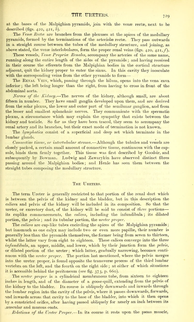 THE URETERS. at the bases of the Malpighian pyramids, join with the vena? rectse, next to be described (figs. 420, 421, b). The Vence Rectos are branches from the plexuses at the apices of the medullary pyramids, formed by the terminations of the arteriole recta?. They pass outwards in a straight course between the tubes of the medullary structure, and joining, as above stated, the vena? interlobulares, form the proper renal veins (figs. 420, 421,/). These vessels, Vence Proprice Renales, accompany the arteries of the same name, running along the entire length of the sides of the pyramids ; and having received in their course the efferents from the Malpighian bodies in the cortical structure adjacent, quit the kidney proper to enter the sinus. In this cavity they inosculate with the corresponding veins from the other pyramids to form— The Renal Vein, which, passing through the hilum, opens into the vena cava inferior; the left being longer than the right, from having to cross in front of the abdominal aorta. Nerves of the Kidney.—The nerves of the kidney, although small, are about fifteen in number. They have small ganglia developed upon them, and are derived from the solar plexus, the lower and outer part of the semilunar ganglion, and from the lesser and smallest splanchnic nerves. They communicate with the spermatic plexus, a circumstance which may explain the sympathy that exists between the kidney and testicle. So far as they have been traced, they seem to accompany the renal artery and its branches, but their exact mode of termination is not known. The lymphatics consist of a superficial and deep set which terminate in the lumbar glands. Connective tissue, or intertubular stroma.—Although the tubules and vessels are closely packed, a certain small amount of connective tissue, continuous with the cap- sule, binds them firmly together. This tissue was first described by Goodsir, and subsequently by Bowman. Ludwig and Zawarykin have observed distinct fibres passing around the Malpighian bodies; and Henle has seen them between the straight tubes composing the medullary structure. The Ureters. The term Ureter is generally restricted to that portion of the renal duct which is between the pelvis of the kidney and the bladder, but in this description the calices and pelvis of the kidney will be included in its composition. So that the ureter, or excretory duct, of the kidney will be said to consist of three portions— its cuplike commencements, the calices, including the infundibula; its dilated portion, the pelvis ; and its tubular portion, the ureter proper. The calices are cup-like tubes encircling the apices of the Malpighian pyramids ; but inasmuch as one calyx may include two or even more papillae, their number is generally less than the pyramids themselves, the former being from seven to thirteen, whilst the latter vary from eight to eighteen. These calices converge into the three infundibula, an upper, middle, and lower, which by their junction form the pelvis, or dilated portion of the ureter; which latter, gradually narrowing, becomes conti- nuous with the ureter proper. The portion last mentioned, where the pelvis merges into the ureter proper, is found opposite the transverse process of the third lumbar vertebra on the left, and the fourth on the right side ; at either of which situations it is accessible behind the peritoneum (see fig. 373, p. 660). The ureter pi-oper is a cylindrical membranous tube, from sixteen to eighteen inches in length, and of the diameter of a goose-quill, extending from the pelvis of the kidney to the bladder. Its course is obliquely downwards and inwards through the lumbar region into the cavity of the pelvis, where it passes downwards, forwards, and inwards across that cavity to the base of the bladder, into which it then opens by a constricted orifice, after having passed obliquely for nearly an inch between its ;nuscular and mucous coats. Relations of the Ureter Proper.—In its course it rests upon the psoas muscle,