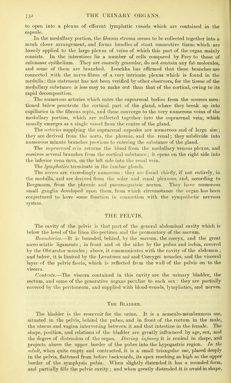 to open into a plexus of efferent lymphatic vesbels which are contained in the capsule. In the medullary portion, the fibrous stroma seems to be collected together into a much closer arrangement, and forms bundles of stout connective tissue which are loosely applied to the large plexus of veins of which this part of the organ mainly consists. In the interstices lie a number of cells compared by Frey to those of columnar epithelium. They are coarsely granular, do not contain any fat molecules, and some of them are branched. Luschka has affirmed that these branches are connected with the nerve-fibres of a very intricate plexus which is found in the medulla: this statement has not been verified by other observers, for the tissue of the medullary substance is less easy to make out than that of the cortical, owing to its rapid decomposition. The numerous arteries which enter the suprarenal bodies from the sources men- tioned below penetrate the cortical part of the gland, where they break up into capillaries in the fibrous septa, and these converge to the very numerous veins of the medullary portion, which are collected together into the suprarenal vein, which usually emerges as a single vessel from the centre of the gland. The arteries supplying the suprarenal capsules are numerous and of large size; they are derived from the aorta, the phrenic, and the renal; they subdivide into numerous minute branches previous to entering the substance of the gland. The suprarenal vein returns the blood from the medullary venous plexus, and receives several branches from the cortical substance; it opens on the right side into the inferior vena cava, on the left side into the renal vein. The lymphatics terminate in the lumbar glands. The nerves are exceedingly numerous : they are found chiefly, if not entirely, in the medulla, and are derived from the solar and renal plexuses, and, according to Bergmann, from the phrenic and pneumogastric nerves. They have numerous small ganglia developed upon them, from which circumstance the organ has been conjectured to have some function in connection with the sympathetic nervous system. THE PELVIS. The cavity of the pelvis is that part of the general abdominal cavity which is below the level of the linea ilio-pectinea and the promontory of the sacrum. Boundaries.—It is bounded, behind, by the sacrum, the coccyx, and the great sacro-sciatic ligaments ; in front and at the sides by the pubes and ischia, covered by the Obturator muscles; above, it communicates with the cavity of the abdomen ; and below, it is limited by the Levatores ani and Coccygei muscles, and the visceral layer of the pelvic fascia, which is reflected from the wall of the pelvis on to the viscera. Contents.—The viscera contained in this cavity are the urinary bladder, the rectum, and some of the generative organs peculiar to each sex : they are partially covered by the peritoneum, and supplied with blood-vessels, lymphatics, and nerves. The Bladder. The bladder is the reservoir for the urine. It is a musculo-membranous sac, situated in the pelvis, behind the pubes, and in front of the rectum in the male, the uterus and vagina intervening between it and that intestine in the female. The shape, position, and relations of the bladder are greatly influenced by age, sex, and the degree of distension of the organ. During injancy it is conical in shape, and projects above the upper border of the pubes into the hypogastric region. In the adult, when quite empty and contracted, it is a small triangular sac, placed deeply in the pelvis, flattened from before backwards, its apex reaching as high as the upper border of the symphysis pubis. When slightly distended it has a rounded form, and partially fills the pelvic cavity ; and when greatly distended it is ovoid in shape,