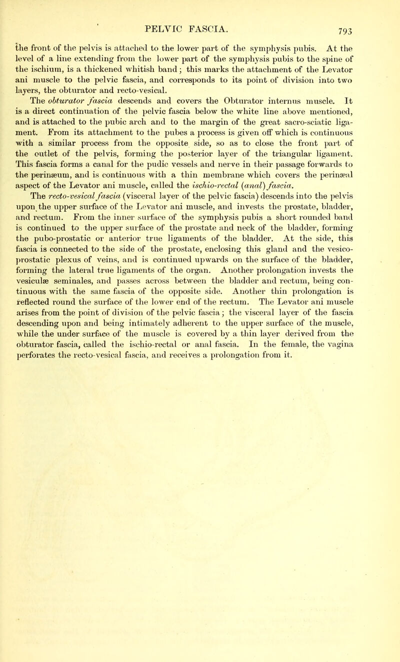 PELVIC FASCIA. the front of the pelvis is attached to the lower part of the symphysis pubis. At the level of a line extending from the lower part of the symphysis pubis to the spine of the ischium, is a thickened whitish band; this marks the attachment of the Levator ani muscle to the pelvic fascia, and corresponds to its point of division into two layers, the obturator and recto-vesical. The obturator fascia descends and covers the Obturator interims muscle. It is a direct continuation of the pelvic fascia below the white line above mentioned, and is attached to the pubic arch and to the margin of the great sacro-sciatic liga- ment. From its attachment to the pubes a process is given off which is continuous with a similar process from the opposite side, so as to close the front part of the outlet of the pelvis, forming the posterior layer of the triangular ligament. This fascia forms a canal for the pudic vessels and nerve in their passage forwards to the perinseum, and is continuous with a thin membrane which covers the perinseal aspect of the Levator ani muscle, called the ischiorectal (anal) fascia. The recto-vesical fascia (visceral layer of the pelvic fascia) descends into the pelvis upon the upper surface of the Levator ani muscle, and invests the prostate, bladder, and rectum. From the inner surface of the symphysis pubis a short rounded band is continued to the upper surface of the prostate and neck of the bladder, forming the pubo-prostatic or anterior true ligaments of the bladder. At the side, this fascia is connected to the side of the prostate, enclosing this gland and the vesico- prostatic plexus of veins, and is continued upwards on the surface of the bladder, forming the lateral true ligaments of the organ. Another prolongation invests the vesiculse seminales, and passes across between the bladder and rectum, being con- tinuous with the same fascia of the opposite side. Another thin prolongation is reflected round the surface of the lower end of the rectum. The Levator ani muscle arises from the point of division of the pelvic fascia; the visceral layer of the fascia descending upon and being intimately adherent to the upper surface of the muscle, while the under surface of the muscle is covered by a thin layer derived from the obturator fascia, called the ischio-rectal or anal fascia. In the female, the vagina perforates the recto-vesical fascia, and receives a prolongation from it.