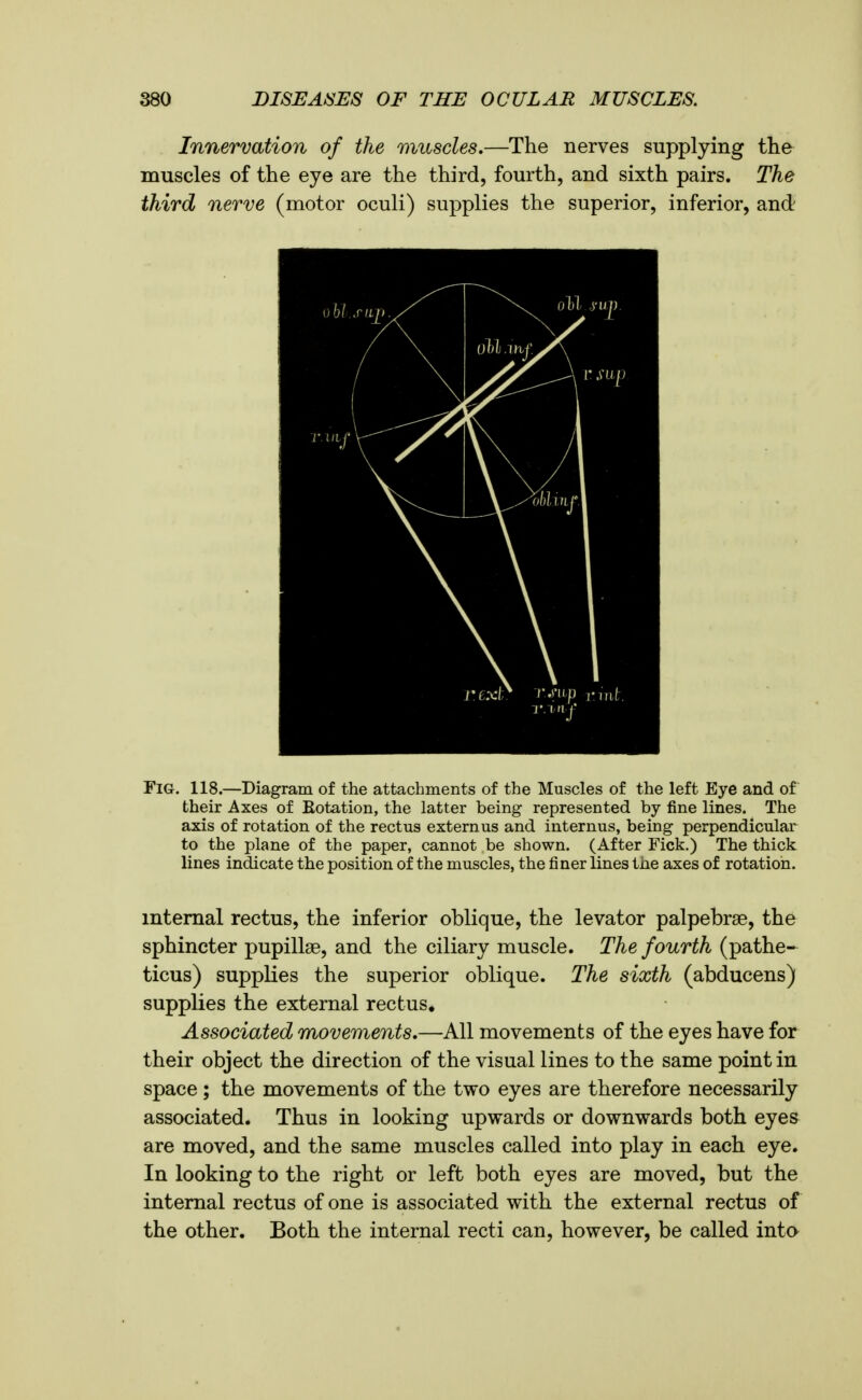 Innervation of the muscles,—The nerves supplying the muscles of the eye are the third, fourth, and sixth pairs. The third nerve (motor oculi) supplies the superior, inferior, and Fig. 118.—Diagram of the attachments of the Muscles of the left Eye and of their Axes of Kotation, the latter being represented by fine lines. The axis of rotation of the rectus extern us and internus, being perpendicular to the plane of the paper, cannot be shown. (After Fick.) The thick lines indicate the position of the muscles, the finer lines the axes of rotation. internal rectus, the inferior oblique, the levator palpebrse, the sphincter pupillse, and the ciliary muscle. The fourth (pathe- ticus) supplies the superior oblique. The sixth (abducens) supplies the external rectus. Associated movements,—All movements of the eyes have for their object the direction of the visual lines to the same point in space; the movements of the two eyes are therefore necessarily associated. Thus in looking upwards or downwards both eyes are moved, and the same muscles called into play in each eye. In looking to the right or left both eyes are moved, but the internal rectus of one is associated with the external rectus of the other. Both the internal recti can, however, be called inta