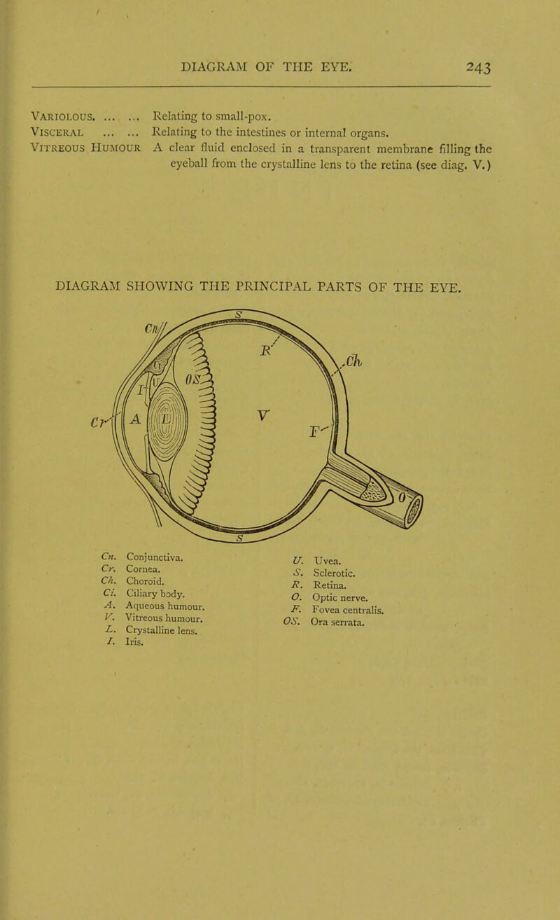 Variolous Relating to small-pox. Visceral Relating to the intestines or internal organs. Vitreous Humour A clear fluid enclosed in a transparent membrane filling the eyeball from the crystalline lens to the retina (see diag. V.) DIAGRAM SHOWING THE PRINCIPAL PARTS OF THE EYE. Cn. Conjunctiva. Cr. Cornea. Ch. Choroid. Ci. Ciliary body. A. Aqueous humour. V. Vitreous humour. L. Crystalline lens. /. Iris. U. S. o. F. OS. Uvea. Sclerotic. Retina. Optic nerve. Fovea centralis. Ora serrata.