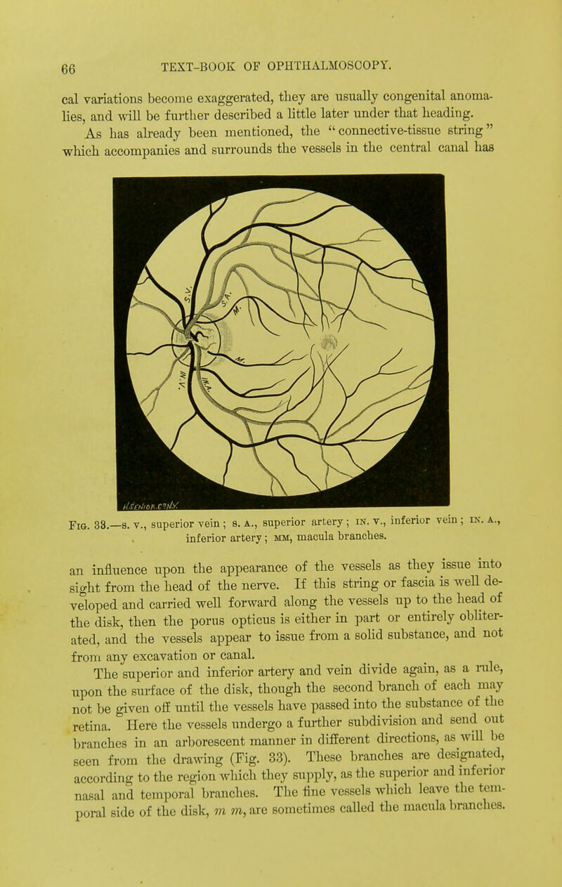 cal variations become exaggerated, they are usually congenital anoma- lies, and will be further described a little later under that heading. As has already been mentioned, the connective-tissue string which accompanies and surrounds the vessels in the central canal has Fig. 38—s. v., superior vein ; s. a., superior artery ; in. v., inferior vein ; in. a., inferior artery; mm, macula branches. an influence upon the appearance of the vessels as they issue into sight from the head of the nerve. If this string or fascia is well de- veloped and carried well forward along the vessels up to the head of the disk, then the porus opticus is either in part or entirely obliter- ated, and the vessels appear to issue from a solid substance, and not from any excavation or canal. The superior and inferior artery and vein divide again, as a rule, upon the surface of the disk, though the second branch of each may not be given off until the vessels have passed into the substance of the retina. Here the vessels undergo a further subdivision and send out branches in an arborescent manner in different directions, as will be seen from the drawing (Fig. 33). These branches are designated, according to the region which they supply, as the superior and inferior nasal and temporal branches. The tine vessels winch leave the tem- poral side of the disk, m m,are sometimes called the macula branches.