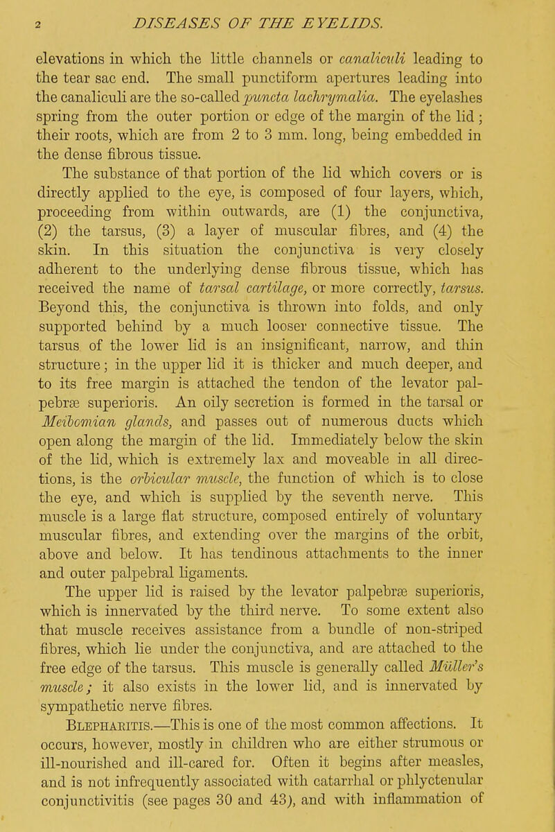 elevations in which the little channels or canaliculi leading to the tear sac end. The small punctiform apertures leading into the canaliculi are the so-called puncta lachrijmalia. The eyelashes spring from the outer portion or edge of the margin of the lid ; their roots, which are from 2 to 3 mm. long, being embedded in the dense fibrous tissue. The substance of that portion of the lid which covers or is directly applied to the eye, is composed of four layers, which, proceeding from within outwards, are (1) the conjunctiva, (2) the tarsus, (3) a layer of muscular fibres, and (4) the skin. In this situation the conjunctiva is very closely adherent to the underlying dense fibrous tissue, which has received the name of tarsal cartilage, or more correctly, tarsus. Beyond this, the conjunctiva is thrown into folds, and only supported behind by a much looser connective tissue. The tarsus of the lower lid is an insignificant, narrow, and thin structure; in the upper lid it is thicker and much deeper, and to its free margin is attached the tendon of the levator pal- pebr£e superioris. An oily secretion is formed in the tarsal or Meibomian glands, and passes out of numerous ducts which open along the margin of the lid. Immediately below the skin of the lid, which is extremely lax and moveable in all direc- tions, is the orbicular rmiscle, the function of which is to close the eye, and which is supplied by the seventh nerve. This muscle is a large flat structure, composed entirely of voluntary muscular fibres, and extending over the margins of the orbit, above and below. It has tendinous attachments to the inner and outer palpebral ligaments. The upper lid is raised by the levator palpebrae superioris, which is innervated by the third nerve. To some extent also that muscle receives assistance from a bundle of non-striped fibres, which lie under the conjunctiva, and are attached to the free edge of the tarsus. This muscle is generally called Muller's muscle; it also exists in the lower lid, and is innervated by sympathetic nerve fibres. Blepharitis.—This is one of the most common affections. It occurs, however, mostly in children who are either strumous or ill-nourished and ill-cared for. Often it begins after measles, and is not infrequently associated with catarrhal or phlyctenular conjunctivitis (see pages 30 and 43), and with inflammation of