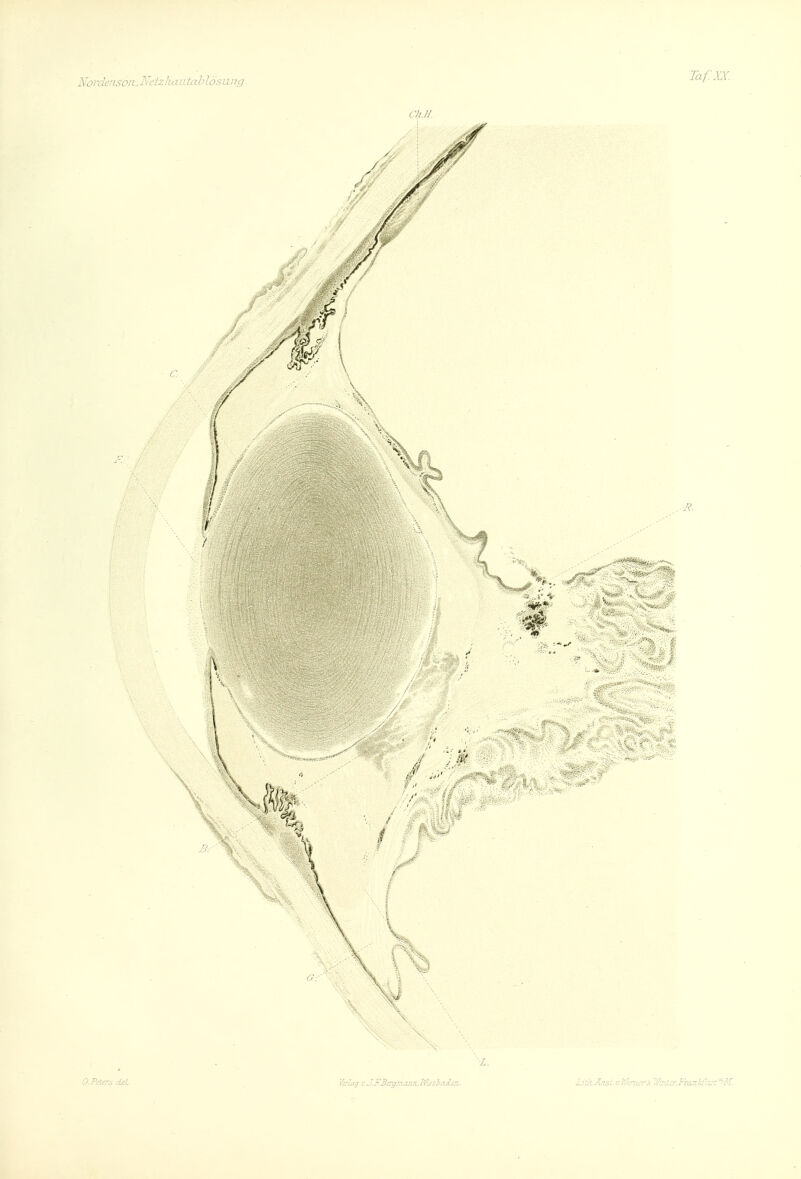 Nordensott.J^dzluxata l > lösuiitj