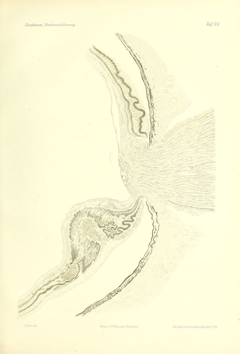 0. Peters cUl VcrlcLg V. JEBtramajin, Wicsbadin.- litk.Aist.v.W!r,i{ri. Winisr.FnuLkfhTt '^/M.