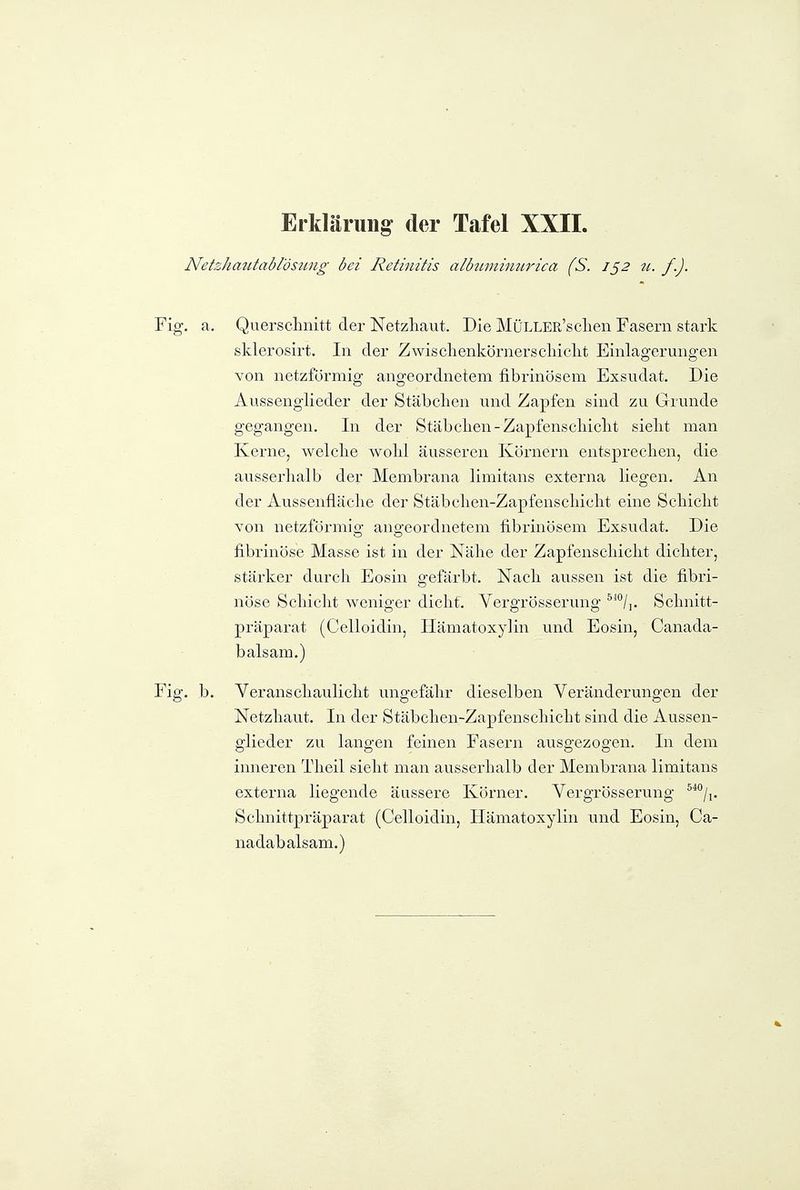 NetpJia7itabl'ösung- bei Retinitis alötiminurica (S. 1^2 tt. f.). Fig. a. Quersclmitt der Netzhaut. Die MüLLER'sclien Fasern stark sklerosirt. In der Zwisclienkörnerscliiclit Einlagerungen Yon netzförmig angeordnetem fibrinösem Exsudat. Die Aussenglieder der Stäbchen und Zapfen sind zu Grunde gegangen. In der Stäbchen-Zapfenscliiclit sieht man Kerne, welche wohl äusseren Körnern entsprechen, die ausserhalb der Membrana limitans externa liegen. An der Aussenfiäche der Stäbchen-Zapfenschicht eine Schicht von netzförmig angeordnetem fibrinösem Exsudat. Die fibrinöse Masse ist in der Nähe der Zapfenschicht dichter, stärker durch Eosin gefärbt. Nach aussen ist die fibri- nöse Schicht weniger dicht. Vergrösserung ^^°/]. Schnitt- präparat (Celloidin, Ilämatoxylin und Eosin, Canada- balsam.) Fig. b. Veranschaulicht ungefähr dieselben Veränderungen der Netzhaut. In der Stäbchen-Zapfenschicht sind die Aussen- glieder zu langen feinen Fasern ausgezogen. In dem inneren Theil sieht man ausserhalb der Membrana limitans externa liegende äussere Körner. Vergrösserung ^^''/i. Schnittpräparat (Celloidin, Ilämatoxylin und Eosin, Ca- nadabalsam.)