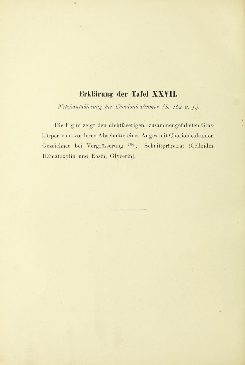 Netzhautablds2tng bei CJiorioidcalhimor (S. 162 ti. f.). Die Figur zeigt den diclitfaserigen, zusammengefalteten Glas- körper vom vorderen Abschnitte eines Auges mit Cliorioidealtumor. Gezeiclmet bei Vergrösserung Sclmittpräparat (Celloidin, Hämatoxylin und Eosin, Glycerin).