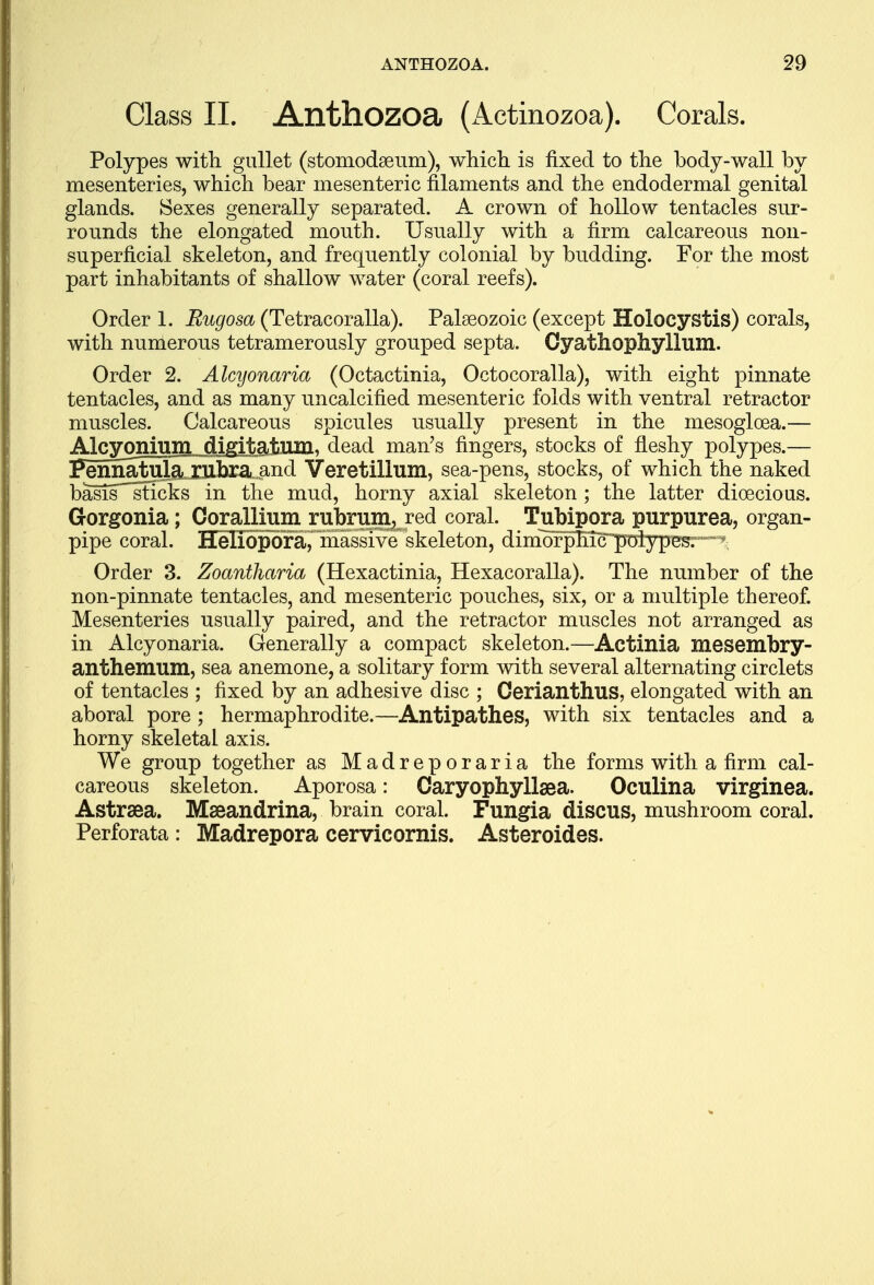 Class II. Anthozoa (Actinozoa). Corals. Polypes with gullet (stomodaeum), which is fixed to the body-wall by mesenteries, which bear mesenteric filaments and the endodermal genital glands. Sexes generally separated. A crown of hollow tentacles sur- rounds the elongated mouth. Usually with a firm calcareous non- superficial skeleton, and frequently colonial by budding. For the most part inhabitants of shallow water (coral reefs). Order 1. Rugosa (Tetracoralla). Palaeozoic (except Holocystis) corals, with numerous tetramerously grouped septa. Cyathophyllum. Order 2. Alcyonaria (Octactinia, Octocoralla), with eight pinnate tentacles, and as many uncalcified mesenteric folds with ventral retractor muscles. Calcareous spicules usually present in the mesoglcea.— Alcyonium digitatnm, dead man's fingers, stocks of fleshy polypes.— ppmjSjj|f rphrfl, anrl Veretillum, sea-pens, stocks, of which the naked basis^sticks in the mud, horny axial skeleton ; the latter dioecious. Gorgonia; Corallium rubruia, red coral. Tubipora purpurea, organ- pipe coral. Heliopora, massive skeleton, dimbrphic'polypei?: -* Order 3. Zoantharia (Hexactinia, Hexacoralla). The number of the non-pinnate tentacles, and mesenteric pouches, six, or a multiple thereof. Mesenteries usually paired, and the retractor muscles not arranged as in Alcyonaria. Generally a compact skeleton.—Actinia mesembry- anthemum, sea anemone, a solitary form with several alternating circlets of tentacles ; fixed by an adhesive disc ; Cerianthus, elongated with an aboral pore; hermaphrodite.—Antipathes, with six tentacles and a horny skeletal axis. We group together as Madreporaria the forms with a firm cal- careous skeleton. Aporosa: Caryophyllsea. Oculina virginea. Astrsea. Mseandrina, brain coral. Fungia discus, mushroom coral. Perforata : Madrepora cervicornis. Asteroides.