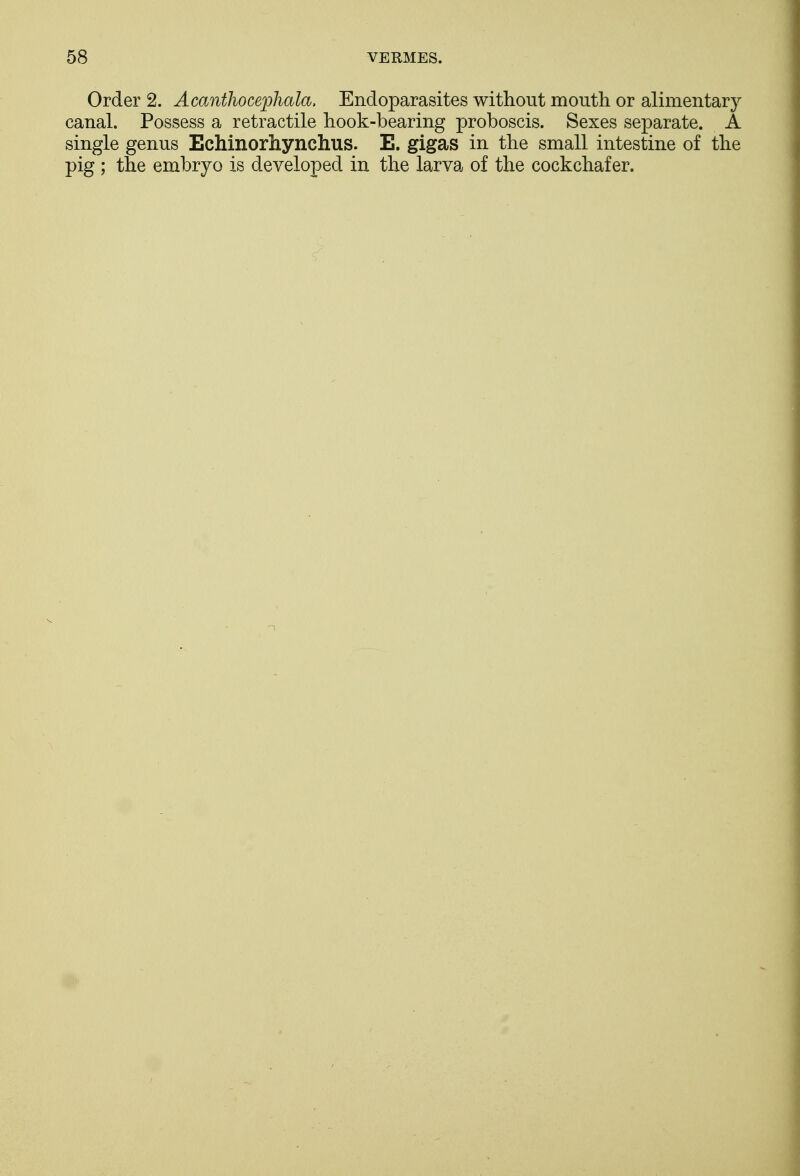 Order 2. Acanthocephala. Endoparasites without mouth or alimentary canal. Possess a retractile hook-bearing proboscis. Sexes separate. A single genus Echinorhynchus. E. gigas in the small intestine of the pig ; the embryo is developed in the larva of the cockchafer.