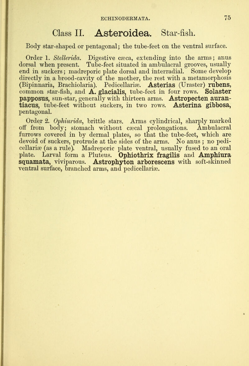 Class II. Asteroidea. Star-fish. Body star-shaped or pentagonal; the tube-feet on the ventral surface. Order 1. Stellerida. Digestive cseca, extending into the arms; anus dorsal when present. Tube-feet situated in ambulacral grooves, usually end in suckers; madreporic plate dorsal and interradial. Some develop directly in a brood-cavity of the mother, the rest with a metamorphosis (Bipinnaria, Brachiolaria). Pedieellariae. Asterias (Uraster) rubens, common star-fish, and A. glacialis, tube-feet in four rows. Solaster papposus, sun-star, generally with thirteen arms. Astropecten auran- tiacus, tube-feet without suckers, in two rows. Asterina gibbosa, pentagonal. Order 2. Ophiurida, brittle stars. Arms cylindrical, sharply marked off from body; stomach without csecal prolongations. Ambulacral furrows covered in by dermal plates, so that the tube-feet, which are devoid of suckers, protrude at the sides of the arms. No anus ; no pedi- eellariae (as a rule). Madreporic plate ventral, usually fused to an oral plate. Larval form a Pluteus. Ophiothrix fragilis and Amphiura squamata, viviparous. Astrophyton arborescens with soft-skinned ventral surface, branched arms, and pedieellariae.