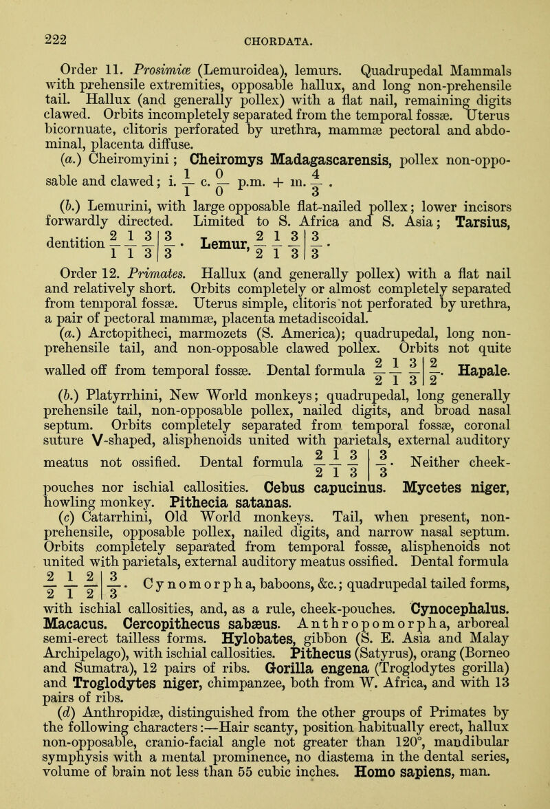 Order 11. Prosimice (Lemuroidea), lemurs. Quadrupedal Mammals with prehensile extremities, opposable hallux, and long non-prehensile tail. Hallux (and generally pollex) with a flat nail, remaining digits clawed. Orbits incompletely separated from the temporal fossae. Uterus bicornuate, clitoris perforated by urethra, mammae pectoral and abdo- minal, placenta diffuse. (a.) Cheiromyini; Cheiromys Madagascarensis, pollex non-oppo- sable and clawed; i. — c. — p.m. + m. — . (&.) Lemurini, with large opposable flat-nailed pollex; lower incisors forwardly directed. Limited to S. Africa and S. Asia; Tarsius, *. Lemur,!!! i. 3 ' 2 1 3 3 Order 12. Primates. Hallux (and generally pollex) with a flat nail and relatively short. Orbits completely or almost completely separated from temporal fossae. Uterus simple, clitoris not perforated by urethra, a pair of pectoral mammae, placenta metadiscoidal. (a.) Arctopitheci, marmozets (S. America); quadrupedal, long non- prehensile tail, and non-opposable clawed pollex. Orbits not quite 2 13 12 walled off from temporal fossae. Dental formula — — ^-Ur- Hapale. (b.) Platyrrhini, New World monkeys; quadrupedal, long generally prehensile tail, non-opposable pollex, nailed digits, and broad nasal septum. Orbits completely separated from temporal fossae, coronal suture V-shaped, alisphenoids united with parietals, external auditory 2 13 dentition 1 1 3 2 13 meatus not ossified. Dental formula — -— 3 — • Neither cheek- Q —-. Cynomorpha, baboons, &c.; quadrupedal tailed forms, 2 13 pouches nor ischial callosities. Oebus capuciniis. Mycetes niger, howling monkey. Pithecia satanas. (c) Catarrhini, Old World monkeys. Tail, when present, non- prehensile, opposable pollex, nailed digits, and narrow nasal septum. Orbits completely separated from temporal fossae, alisphenoids not united with parietals, external auditory meatus ossified. Dental formula 2 12 with ischial callosities, and, as a rule, cheek-pouches. Cynocephalus. Macacus. Cercopithecus sabseus. Anthropomorpha, arboreal semi-erect tailless forms. Hylobates, gibbon (S. E. Asia and Malay Archipelago), with ischial callosities. Pithecus (Satyrus), orang (Borneo and Sumatra), 12 pairs of ribs. Gorilla engena (Troglodytes gorilla) and Troglodytes niger, chimpanzee, both from W. Africa, and with 13 pairs of ribs. (d) Anthropidae, distinguished from the other groups of Primates by the following characters:—Hair scanty, position habitually erect, hallux non-opposable, cranio-facial angle not greater than 120°, mandibular symphysis with a mental prominence, no diastema in the dental series, volume of brain not less than 55 cubic inches. Homo sapiens, man.