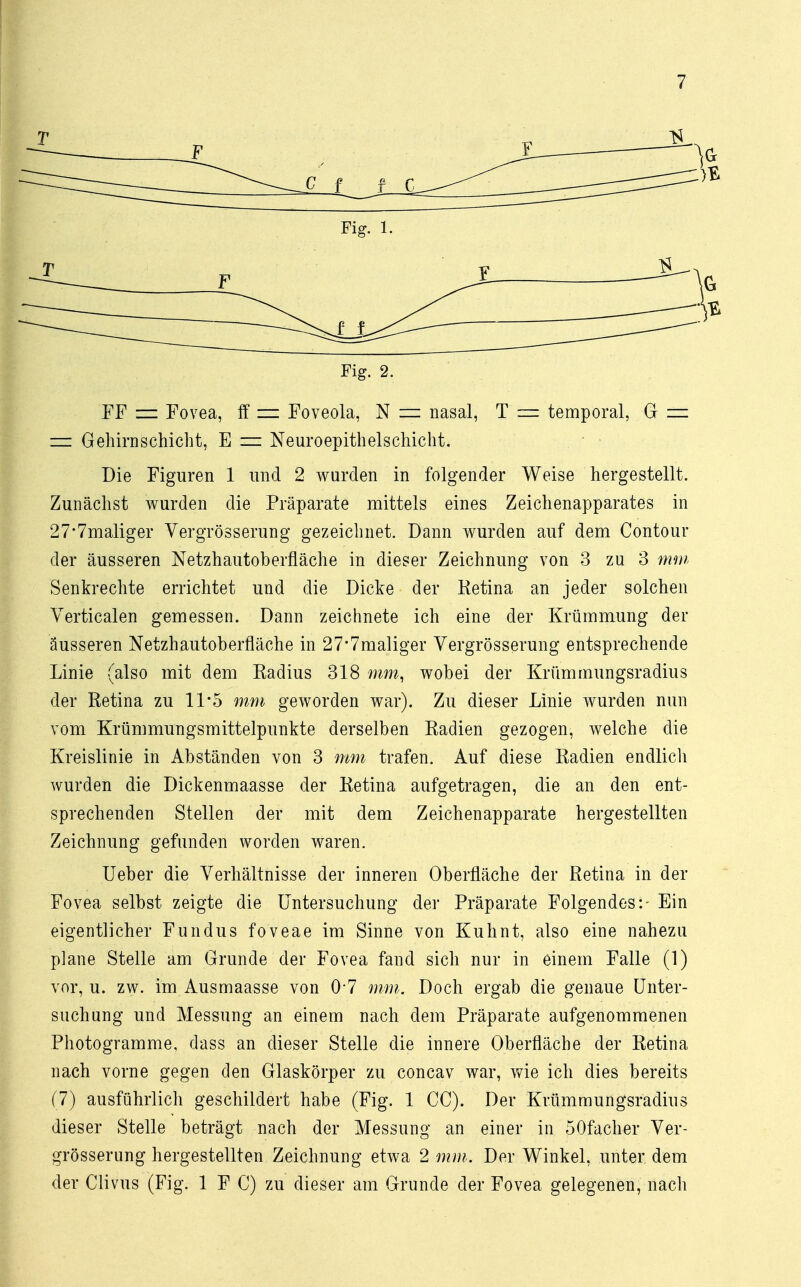 Fig. 2. FF = Fovea, ff = Foveola, N = nasal, T — temporal, G ±- — Gehirn schiebt, E = Neuroepithelschicht. Die Figuren 1 und 2 wurden in folgender Weise hergestellt. Zunächst wurden die Präparate mittels eines Zeichenapparates in 27*7maliger Vergrößerung gezeichnet. Dann wurden auf dem Contour der äusseren Netzhautoberfläche in dieser Zeichnung von 3 zu 3 min Senkrechte errichtet und die Dicke der Retina an jeder solchen Verticalen gemessen. Dann zeichnete ich eine der Krümmung der äusseren Netzhautoberfläche in 27,7maliger Vergrößerung entsprechende Linie (also mit dem Eadius 318 mm, wobei der Krümmungsradius der Retina zu 11*5 mm geworden war). Zu dieser Linie wurden nun vom Krümmungsmittelpunkte derselben Radien gezogen, welche die Kreislinie in Abständen von 3 mm trafen. Auf diese Radien endlicli wurden die Dickenmaasse der Retina aufgetragen, die an den ent- sprechenden Stellen der mit dem Zeichenapparate hergestellten Zeichnung gefunden worden waren. Ueber die Verhältnisse der inneren Oberfläche der Retina in der Fovea selbst zeigte die Untersuchung der Präparate Folgendes:- Ein eigentlicher Fundus foveae im Sinne von Kuhnt, also eine nahezu plane Stelle am Grunde der Fovea fand sich nur in einem Falle (1) vor, u. zw. im Ausmaasse von 07 mm. Doch ergab die genaue Unter- suchung und Messung an einem nach dem Präparate aufgenommenen Photogramme, dass an dieser Stelle die innere Oberfläche der Retina nach vorne gegen den Glaskörper zu concav war, wie ich dies bereits (7) ausführlich geschildert habe (Fig. 1 CC). Der Krümmungsradius dieser Stelle beträgt nach der Messung an einer in 50facher .Ver- größerung hergestellten Zeichnung etwa 2 mm. Der Winkel, unter dem der Clivus (Fig. 1 F C) zu dieser am Grunde der Fovea gelegenen, nach