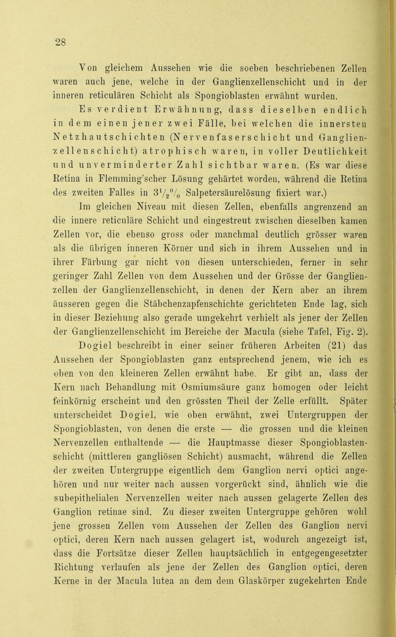 Von gleichem Aussehen wie die soeben beschriebenen Zellen waren auch jene, welche in der Ganglienzellenschicht und in der inneren reticulären Schicht als Spongioblasten erwähnt wurden. Es verdient Erwähnung, dass dieselben endlich in dem einen jener zwei Fälle, bei welchen die innersten Netzhautschichten (Nervenfaserschicht und Ganglien- zellenschicht) atrophisch waren, in voller Deutlichkeit und unverminderter Zahl sichtbar waren. (Es war dies e Retina in Flemming'scher Lösung gehärtet worden, während die Retina des zweiten Falles in 3l/2°/o Salpetersäurelösung fixiert war.) Im gleichen Niveau mit diesen Zellen, ebenfalls angrenzend an die innere reticuläre Schicht und eingestreut zwischen dieselben kamen Zellen vor, die ebenso gross oder manchmal deutlich grösser waren als die übrigen inneren Körner und sich in ihrem Aussehen und in ihrer Färbung gar nicht von diesen unterschieden, ferner in sehr geringer Zahl Zellen von dem Aussehen und der Grösse der Ganglien- zellen der Ganglienzellenschicht, in denen der Kern aber an ihrem äusseren gegen die Stäbchenzapfenschichte gerichteten Ende lag, sich in dieser Beziehung also gerade umgekehrt verhielt als jener der Zellen der Ganglienzellenschicht im Bereiche der Macula (siehe Tafel, Fig. 2). Dogiel beschreibt in einer seiner früheren Arbeiten (21) das Aussehen der Spongioblasten ganz entsprechend jenem, wie ich es oben von den kleineren Zellen erwähnt habe. Er gibt an, dass der Kern nach Behandlung mit Osmiumsäure ganz homogen oder leicht feinkörnig erscheint und den grössten Theil der Zelle erfüllt. Später unterscheidet Dogiel, wie oben erwähnt, zwei Untergruppen der Spongioblasten, von denen die erste — die grossen und die kleinen Nervenzellen enthaltende — die Hauptmasse dieser Spongioblasten- schicht (mittleren gangliösen Schicht) ausmacht, während die Zellen der zweiten Untergruppe eigentlich dem Ganglion nervi optici ange- hören und nur weiter nach aussen vorgerückt sind, ähnlich wie die subepithelialen Nervenzellen weiter nach aussen gelagerte Zellen des Ganglion retinae sind. Zu dieser zweiten Untergruppe gehören wohl jene grossen Zellen vom Aussehen der Zellen des Ganglion nervi optici, deren Kern nach aussen gelagert ist, wodurch angezeigt ist, dass die Fortsätze dieser Zellen hauptsächlich in entgegengesetzter Richtung verlaufen als jene der Zellen des Ganglion optici, deren Kerne in der Macula lutea an dem dem Glaskörper zugekehrten Ende