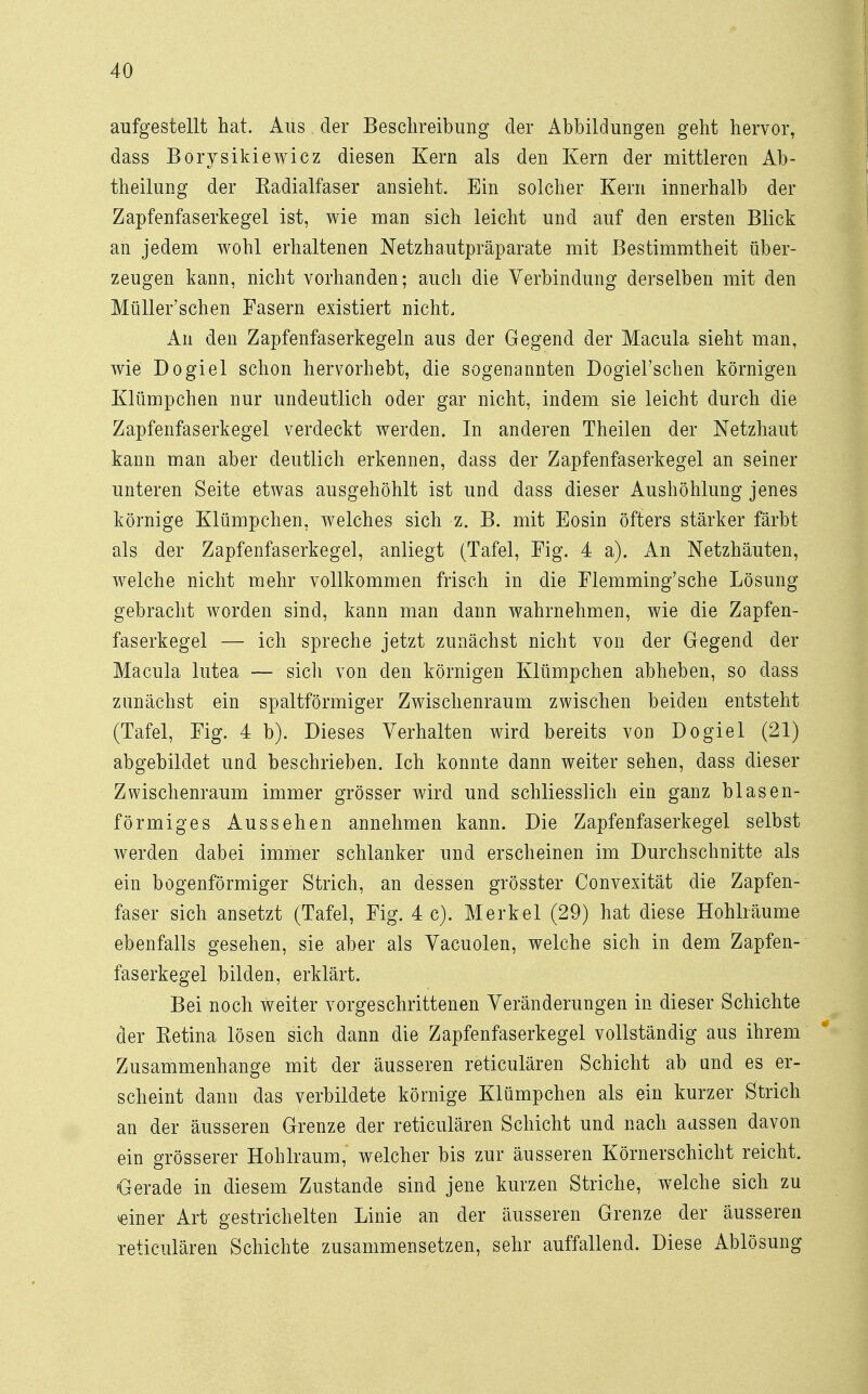 aufgestellt hat. Aus der Beschreibung der Abbildungen geht hervor, dass Borysikiewicz diesen Kern als den Kern der mittleren Ab- theilung der Badialfaser ansieht. Ein solcher Kern innerhalb der Zapfenfaserkegel ist, wie man sich leicht und auf den ersten Blick an jedem wohl erhaltenen Netzhautpräparate mit Bestimmtheit über- zeugen kann, nicht vorhanden; auch die Verbindung derselben mit den Müller'sehen Fasern existiert nicht. An den Zapfenfaserkegeln aus der Gegend der Macula sieht man, wie Dogiel schon hervorhebt, die sogenannten Dogiel'schen körnigen Klümpchen nur undeutlich oder gar nicht, indem sie leicht durch die Zapfenfaserkegel verdeckt werden. In anderen Theilen der Netzhaut kann man aber deutlich erkennen, dass der Zapfenfaserkegel an seiner unteren Seite etwas ausgehöhlt ist und dass dieser Aushöhlung jenes körnige Klümpchen, welches sich z. B. mit Eosin öfters stärker färbt als der Zapfenfaserkegel, anliegt (Tafel, Fig. 4 a). An Netzhäuten, welche nicht mehr vollkommen frisch in die Flemming'sche Lösung gebracht worden sind, kann man dann wahrnehmen, wie die Zapfen- faserkegel — ich spreche jetzt zunächst nicht von der Gegend der Macula lutea — sich von den körnigen Klümpchen abheben, so dass zunächst ein spaltförmiger Zwischenraum zwischen beiden entsteht (Tafel, Fig. 4 b). Dieses Verhalten wird bereits von Dogiel (21) abgebildet und beschrieben. Ich konnte dann weiter sehen, dass dieser Zwischenraum immer grösser wird und schliesslich ein ganz blasen- förmiges Aussehen annehmen kann. Die Zapfenfaserkegel selbst werden dabei immer schlanker und erscheinen im Durchschnitte als ein bogenförmiger Strich, an dessen grösster Convexität die Zapfen- faser sich ansetzt (Tafel, Fig. 4 c). Merkel (29) hat diese Hohlräume ebenfalls gesehen, sie aber als Vacuolen, welche sich in dem Zapfen- faserkegel bilden, erklärt. Bei noch weiter vorgeschrittenen Veränderungen in dieser Schichte der Ketina lösen sich dann die Zapfenfaserkegel vollständig aus ihrem Zusammenhange mit der äusseren reticulären Schicht ab und es er- scheint dann das verbildete körnige Klümpchen als ein kurzer Strich an der äusseren Grenze der reticulären Schicht und nach aussen davon ein grösserer Hohlraum, welcher bis zur äusseren Körnerschicht reicht. Gerade in diesem Zustande sind jene kurzen Striche, welche sich zu meiner Art gestrichelten Linie an der äusseren Grenze der äusseren Teticulären Schichte zusammensetzen, sehr auffallend. Diese Ablösung