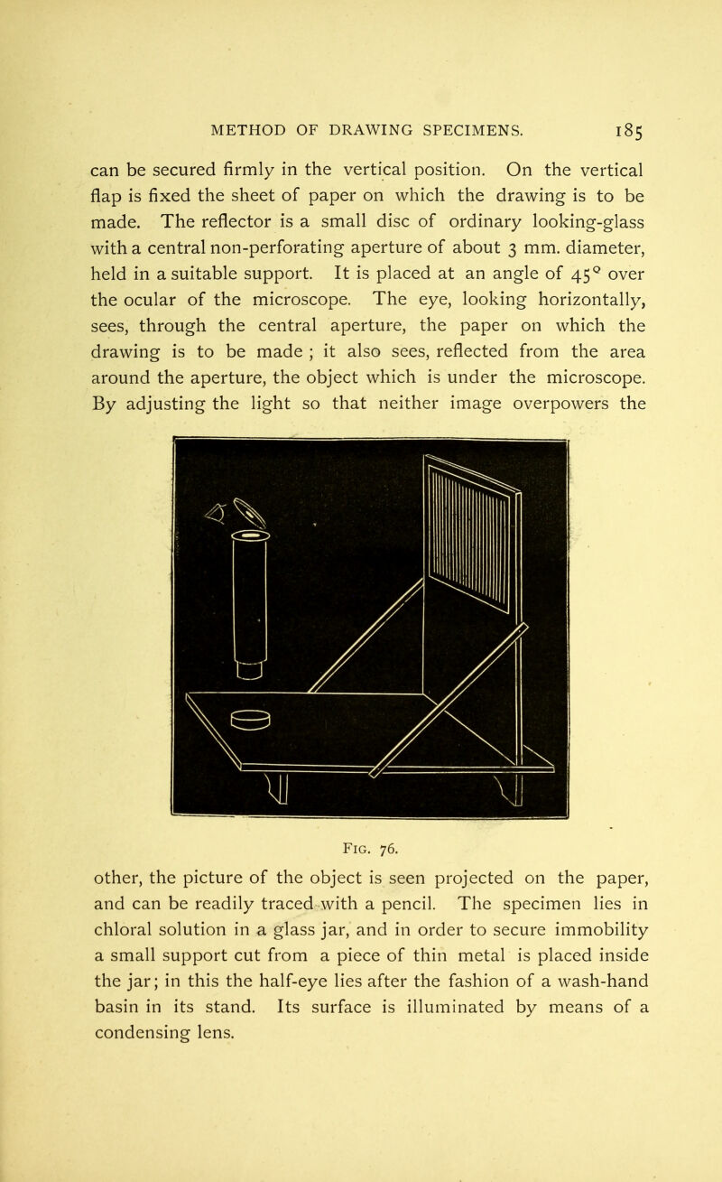 can be secured firmly in the vertical position. On the vertical flap is fixed the sheet of paper on which the drawing is to be made. The reflector is a small disc of ordinary looking-glass with a central non-perforating aperture of about 3 mm. diameter, held in a suitable support. It is placed at an angle of 450 over the ocular of the microscope. The eye, looking horizontally, sees, through the central aperture, the paper on which the drawing is to be made ; it also sees, reflected from the area around the aperture, the object which is under the microscope. By adjusting the light so that neither image overpowers the Fig. 76. other, the picture of the object is seen projected on the paper, and can be readily traced with a pencil. The specimen lies in chloral solution in a glass jar, and in order to secure immobility a small support cut from a piece of thin metal is placed inside the jar; in this the half-eye lies after the fashion of a wash-hand basin in its stand. Its surface is illuminated by means of a condensing lens.
