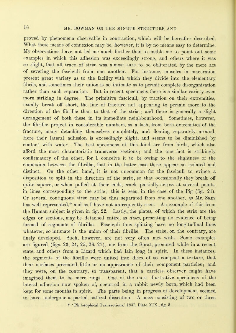 proved by phenomena observable in contraction, which will be hereafter described. What these means of connexion may be, however, it is by no means easy to determine. My observations have not led me much further than to enable me to point out some examples in which this adhesion was exceedingly strong, and others where it was so slight, that all trace of stria? was almost sure to be obliterated by the mere act of severing the fasciculi from one another. For instance, muscles in maceration present great variety as to the facility with which they divide into the elementary fibrils, and sometimes their union is so intimate as to permit complete disorganization rather than such separation. But in recent specimens there is a similar variety even more striking in degree. The primitive fasciculi, by traction on their extremities, usually break off short, the line of fracture not appearing to pertain more to the direction of the fibrilla? than to that of the stria?; and there is generally a slight derangement of both these in its immediate neighbourhood. Sometimes, however, the fibrillse project in considerable numbers, as a lash, from both extremities of the fracture, many detaching themselves completely, and floating separately around. Here their lateral adhesion is exceedingly slight, and seems to be diminished by contact with water. The best specimens of this kind are from birds, which also afford the most characteristic transverse sections; and the one fact is strikingly confirmatory of the other, for I conceive it to be owing to the slightness of the connexion between the fibrilla?, that in the latter case these appear so isolated and distinct. On the other hand, it is not uncommon for the fasciculi to evince a disposition to split in the direction of the stria?, so that occasionally they break off quite square, or when pulled at their ends, crack partially acrpss at several points, in lines corresponding to the striae ; this is seen in the case of the Pig (fig. 21). Or several contiguous stria? may be thus separated from one another, as Mr. Sket has well represented,* and as I have not unfrequently seen. An example of this from the Human subject is given in fig. 22. Lastly, the plates, of which the stria? are the edges or sections, may be detached entire, as discs, presenting no evidence of being formed of segments of fibrilla?. Fasciculi thus splitting have no longitudinal lines whatever, so intimate is the union of their fibrilla?. The stria?, on the contrary, are finely developed. Such, however, are not very often met with. Some examples are figured (figs. 23, 24, 25, 26, 27), one from the Sprat, procured while in a recent state, and others from a Lizard which had lain long in spirit. In these instances, the segments of the fibrilla? were united into discs of so compact a texture, that their surfaces presented little or no appearance of their component particles; and they were, on the contrary, so transparent, that a careless observer might have imagined them to be mere rings. One of the most illustrative specimens of the lateral adhesion now spoken of, occurred in a rabbit newly born, which had been kept for some months in spirit. The parts being in progress of development, seemed to have undergone a partial natural dissection. A mass consisting of two or three f 'Philosophical Transactions,' 1837, Plate XIX., fig. 5.