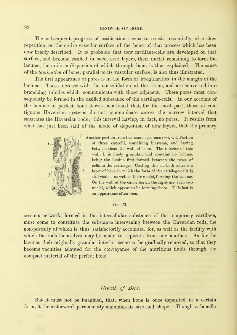 The subsequent progress of ossification seems to consist essentially of a slow- repetition, on the entire vascular surface of the bone, of that process which has been now briefly described. It is probable that new cartilage-cells are developed on that surface, and become ossified in successive layers, their nuclei remaining to form the lacunas, the uniform dispersion of which through bone is thus explained. The cause of the lamination of bone, parallel to its vascular surface, is also thus illustrated. The first appearance of pores is in the form of irregularities in the margin of the lacunas. These increase with the consolidation of the tissue, and are converted into branching tubules which communicate with those adjacent. These pores must con- sequently be formed in the ossified substance of the cartilage-cells. In our account of the lacunas of perfect bone it was mentioned that, for the most part, those of con- tiguous Haversian systems do not communicate across the narrow interval that separates the Haversian rods ; this interval having, in fact, no pores. It results from what has just been said of the mode of deposition of new layers, that the primary  Another portion from the same specimen :—i, i, i, Portion of three cancelli, containing blastema, and having between them the wall of bone. The interior of this wall, I, is finely grannlar, and contains no lacunae, being the lamina first formed between the rows of cells in the cartilage. Coating this on both sides is a layer of bone in which the form of the cartilage-cells is still visible, as well as their nuclei, forming the lacunas. On the wall of the cancellus on the right are seen two nuclei, which appear to be forming there. This last is an appearance often seen. fig. 33. osseous network, formed in the intercellular substance of the temporary cartilage, must come to constitute the substance intervening between the Haversian rods, the non-porosity of which is thus satisfactorily accounted for, as well as the facility with which the rods themselves may be made to separate from one another. As for the lacunas, their originally granular interior seems to be gradually removed, so that they become vacuities adapted for the conveyance of the nutritious fluids through the compact material of the perfect bone. Growth of Bone. But it must not be imagined, that, when bone is once deposited in a certain form, it thenceforward permanently maintains its size and shape. Though a lamella