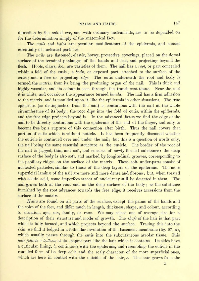 NAILS AND HAIRS. dissection by the naked eye, and with ordinary instruments, are to be depended on for the determination simply of the anatomical fact. The nails and hairs are peculiar modifications of the epidermis, and consist essentially of nucleated particles. The nails are flattened, elastic, horny, protective coverings, placed on the dorsal surface of the terminal phalanges of the hands and feet, and projecting beyond the flesh. Hoofs, claws, &c, are varieties of them. The nail has a root, or part concealed within a fold of the cutis; a body, or exposed part, attached to the surface of the cutis ; and a free or projecting edge. The cutis underneath the root and body is termed the matrix, from its being the producing organ of the nail. This is thick and highly vascular, and its colour is seen through the translucent tissue. Near the root it is white, and occasions the appearance termed lunula. The nail has a firm adhesion to the matrix, and is moulded upon it, like the epidermis in other situations. The true epidermis (as distinguished from the nail) is continuous with the nail at the whole circumference of its body; the root dips into the fold of cutis, within the epidermis, and the free edge projects beyond it. In the advanced foetus we find the edge of the nail to be directly continuous with the epidermis of the end of the finger, and only to become free by, a rupture of this connexion after birth. Thus the nail covers that portion of cutis which is without cuticle. It has been frequently discussed whether the cuticle is continued over and under the nail; but this is a question of words only, the nail being the same essential structure as the cuticle. The border of the root of the nail is jagged, thin, and soft, and consists of newly formed substance: the deep surface of the body is also soft, and marked by longitudinal grooves, corresponding to the papillary ridges on the surface of the matrix. These soft under-parts consist of nucleated particles, similar to those of the deep layers of the epidermis. The more superficial lamina? of the nail are more and more dense and fibrous; but, when treated with acetic acid, some imperfect traces of nuclei may still be detected in them. The nail grows both at the root and on the deep surface of the body ; as the substance furnished by the root advances towards the free edge, it receives accessions from the surface of the matrix. Hairs are found on all parts of the surface, except the palms of the hands and the soles of the feet, and differ much in length, thickness, shape, and colour, according to situation, age, sex, family, or race. We may select one of average size for a description of their structure and mode of growth. The shaft of the hair is that part which is fully formed, and which projects beyond the surface. Tracing this into the skin, we find it lodged in a follicular involution of the basement membrane (fig. 87, a), which usually passes through the cutis into the subcutaneous areolar tissue. This hair-follicle is bidhous at its deepest part, like the hair which it contains. Its sides have a cuticular lining, b, continuous with the epidermis, and resembling the cuticle in the rounded form of its deep cells and the scaly character of the more superficial ones, which are here in contact with the outside of the hair, c. The hair grows from the x