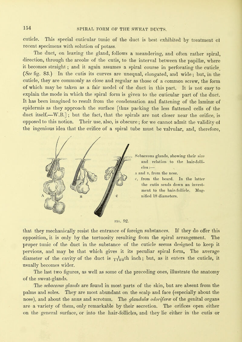 SPIRAL FORM OF THE SWEAT DUCTS. cuticle. This special cuticular tunic of the duct is best exhibited by treatment oi recent specimens with solution of potass., The duct, on leaving the gland, follows a meandering, and often rather spiral, direction, through the areola? of the cutis, to the interval between the papilla?, where it becomes straight; and it again assumes a spiral course in perforating the cuticle. {See fig. 83.) In the cutis its curves are unequal, elongated, and wide; but, in the cuticle, they are commonly as close and regular as those of a common screw, the form of which may be taken as a fair model of the duct in this part. It is not easy to explain the mode in which the spiral form is given to the cuticular part of the duct. It has been imagined to result from the condensation and flattening of the laminas of epidermis as they approach the surface [thus packing the less flattened cells of the duct itself.—W.B.] ; but the fact, that the spirals are not closer near the orifice, is opposed to this notion. Their use, also, is obscure ; for we cannot admit the validity of the ingenious idea that the orifice of a spiral tube must be valvular, and, therefore, FIG. 92. that they mechanically resist the entrance of foreign substances. If they do offer this opposition, it is only by the tortuosity resulting from the spiral arrangement. The proper tunic of the duct in the substance of the cuticle seems designed to keep it pervious, and may be that which gives it its peculiar spiral form. The average diameter of the cavity of the duct is xyootn incn 5 but, as it enters the cuticle, it usually becomes wider. The last two figures, as well as some of the preceding ones, illustrate the anatomy of the sweat-glands. The sebaceous glands are found in most parts of the skin, but are absent from the palms and soles. They are most abundant on the scalp and face (especially about the nose), and about the anus and scrotum. The glandular odoriferce of the genital organs are a variety of them, only remarkable by their secretion. The orifices open either on the general surface, or into the hair-follicles, and they lie either in the cutis or