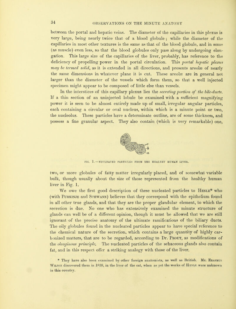 OBSERVATIONS ON THE MINUTE ANATOMY between the portal and hepatic veins. The diameter of the capillaries in this plexus is very large, being nearly twice that of a blood globule ; while the diameter of the capillaries in most other textures is the same as that of the blood globule, and in some (as muscle) even less, so that the blood globules only pass along by undergoing elon- gation. This large size of the capillaries of the liver, probably, has reference to the deficiency of propelling power in the portal circulation. This portal hepatic plexus may be termed solid, as it is extended in all directions, and presents areolas of nearly the same dimensions in whatever plane it is cut. These areolae are in general not larger than the diameter of the vessels which form them, so that a well injected specimen might appear to be composed of little else than vessels. In the interstices of this capillary plexus lies the secreting portion of the bile-ducts. If a thin section of an uninjected lobule be examined with a sufficient magnifying power it is seen to be almost entirely made up of small, irregular angular particles, each containing a circular or oval nucleus, within which is a minute point or two, the nucleolus. These particles have a determinate outline, are of some thickness, and possess a fine granular aspect. They also contain (whicli is very remarkable) one, FIG. 1.—NUCLEATED PARTICLES FROM THE HEALTHY HUMAN LIVER. two, or more globules of fatty matter irregularly placed, and of somewhat variable bulk, though usually about the size of those represented from the healthy human liver in Fig. 1. We owe the first good description of these nucleated particles to Henle* who (with Purkinje and Schwann) believes that they correspond with the epithelium found in all other true glands, and that they are the proper glandular element, to which the secretion is due. No one who has extensively examined the minute structure of glands can well be of a different opinion, though it must be allowed that we are still ignorant of the precise anatomy of the ultimate ramifications of the biliary ducts. The oily globules found in the nucleated particles appear to have special reference to the chemical nature of the secretion, which contains a large quantity of highly car- bonized matters, that are to be regarded, according to Dr. Prout, as modifications of the oleaginous principle. The nucleated particles of the sebaceous glands also contain fat, and in this respect offer a striking analogy with those of the liver, * They have also been examined by other foreign anatomists, as well as British. Mr. Erasmus Wilson discovei*ed them in 1838, in the liver of the cat, when as yet the works of Henle were unknown in this country.