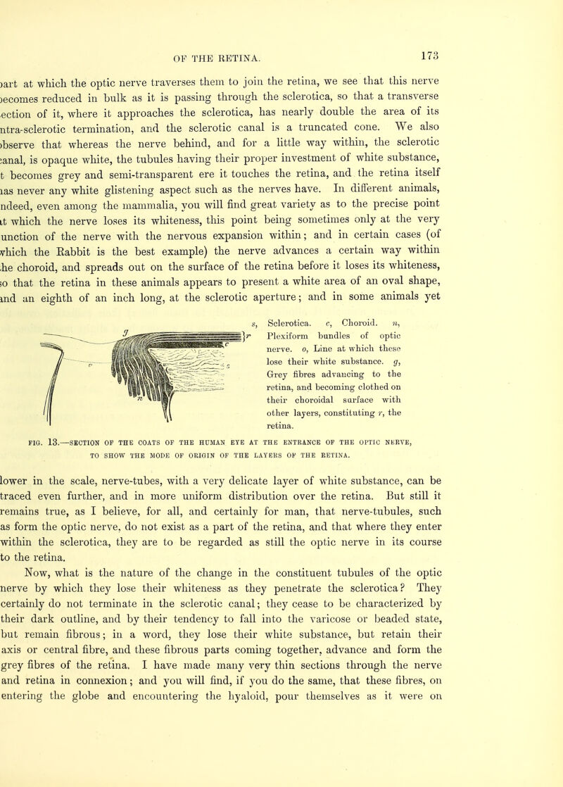 >art at which, the optic nerve traverses them to join the retina, we see that this nerve )ecomes reduced in bulk as it is passing through the sclerotica, so that a transverse ection of it, where it approaches the sclerotica, has nearly double the area of its ntra-sclerotic termination, and the sclerotic canal is a truncated cone. We also >bserve that whereas the nerve behind, and for a little way within, the sclerotic :anal, is opaque white, the tubules having their proper investment of white substance, t becomes grey and semi-transparent ere it touches the retina, and the retina itself las never any white glistening aspect such as the nerves have. In different animals, ndeed, even among the mammalia, you will find great variety as to the precise point it which the nerve loses its whiteness, this point being sometimes only at the very unction of the nerve with the nervous expansion within; and in certain cases (of vhich the Eabbit is the best example) the nerve advances a certain way within .he choroid, and spreads out on the surface of the retina before it loses its whiteness, so that the retina in these animals appears to present a white area of an oval shape, md an eighth of an inch long, at the sclerotic aperture; and in some animals yet s, Sclerotica. c, Choroid. n, }t* Plexiform bundles of optic nerve, o, Line at which these lose their white substance, g, Grey fibres advancing to the retina, and becoming clothed on their choroidal surface with other layers, constituting r, the retina. FIG. 13.—SECTION OF THE COATS OF THE HUMAN EYE AT THE ENTRANCE OF THE OPTIC NERVE, TO SHOW THE MODE OF ORIGIN OF THE LAYERS OF THE RETINA. lower in the scale, nerve-tubes, with a very delicate layer of white substance, can be traced even further, and in more uniform distribution over the retina. But still it remains true, as I believe, for all, and certainly for man, that nerve-tubules, such as form the optic nerve, do not exist as a part of the retina, and that where they enter within the sclerotica, they are to be regarded as still the optic nerve in its course to the retina. Now, what is the nature of the change in the constituent tubules of the optic nerve by which they lose their whiteness as they penetrate the sclerotica? They certainly do not terminate in the sclerotic canal; they cease to be characterized by their dark outline, and by their tendency to fall into the varicose or beaded state, but remain fibrous; in a word, they lose their white substance, but retain their axis or central fibre, and these fibrous parts coming together, advance and form the grey fibres of the retina. I have made many very thin sections through the nerve and retina in connexion; and you will find, if you do the same, that these fibres, on entering the globe and encountering the hyaloid, pour themselves as it were on