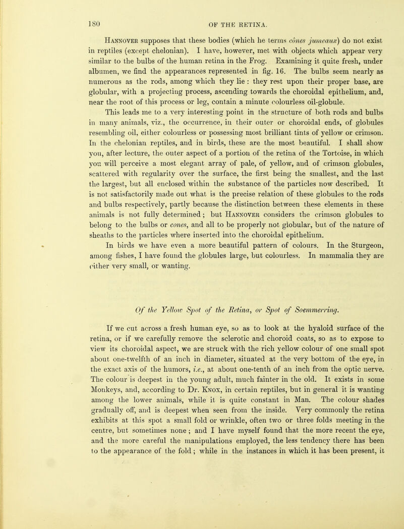 Hannover supposes that these bodies (which he terms cones jumeaux) do not exist in reptiles (except chelonian). I have, however, met with objects which appear very similar to the bulbs of the human retina in the Frog. Examining it quite fresh, under albumen, we find the appearances represented in fig. 16. The bulbs seem nearly as numerous as the rods, among which they lie : they rest upon their proper base, are globular, with a projecting process, ascending towards the choroidal epithelium, and, near the root of this process or leg, contain a minute colourless oil-globule. This leads me to a very interesting point in the structure of both rods and bulbs in many animals, viz., the occurrence, in their outer or choroidal ends, of globules resembling oil, either colourless or possessing most brilliant tints of yellow or crimson. In the chelonian reptiles, and in birds, these are the most beautiful. I shall show you, after lecture, the outer aspect of a portion of the retina of the Tortoise, in which you will perceive a most elegant array of pale, of yellow, and of crimson globules, scattered with regularity over the surface, the first being the smallest, and the last the largest, but all enclosed within the substance of the particles now described. It is not satisfactorily made out what is the precise relation of these globules to the rods and bulbs respectively, partly because the distinction between these elements in these animals is not fully determined ; but Hannover considers the crimson globules to belong to the bulbs or cones, and all to be properly not globular, but of the nature of sheaths to the particles where inserted into the choroidal epithelium. In birds we have even a more beautiful pattern of colours. In the Sturgeon, among fishes, I have found the globules large, but colourless. In mammalia they are either very small, or wanting. Of the Yellow Spot of the Retina, or Spot of Soemmerring. If we cut across a fresh human eye, so as to look at the hyaloid surface of the retina, or if we carefully remove the sclerotic and choroid coats, so as to expose to view its choroidal aspect, we are struck with the rich yellow colour of one small spot about one-twelfth of an inch in diameter, situated at the very bottom of the eye, in the exact axis of the humors, i.e., at about one-tenth of an inch from the optic nerve. The colour is deepest in the young adult, much fainter in the old. It exists in some Monkeys, and, according to Dr. Knox, in certain reptiles, but in general it is wanting among the lower animals, while it is quite constant in Man. The colour shades gradually off, and is deepest when seen from the inside. Very commonly the retina exhibits at this spot a small fold or wrinkle, often two or three folds meeting in the centre, but sometimes none ; and I have myself found that the more recent the eye, and the more careful the manipulations employed, the less tendency there has been to the appearance of the fold ; while in the instances in which it has been present, it