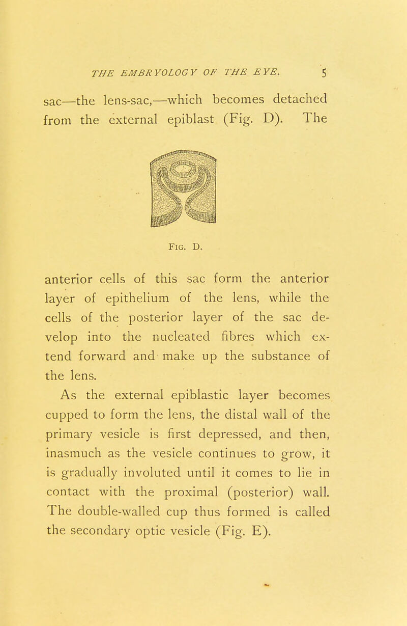 sac—the lens-sac,—which becomes detached from the external epiblast (Fig. D). The Fig. D. anterior cells of this sac form the anterior layer of epithelium of the lens, while the cells of the posterior layer of the sac de- velop into the nucleated fibres which ex- tend forward and make up the substance of the lens. As the external epiblastic layer becomes cupped to form the lens, the distal wall of the primary vesicle is first depressed, and then, inasmuch as the vesicle continues to grow, it is gradually involuted until it comes to lie in contact with the proximal (posterior) wall. The double-walled cup thus formed is called the secondary optic vesicle (Fig. E).