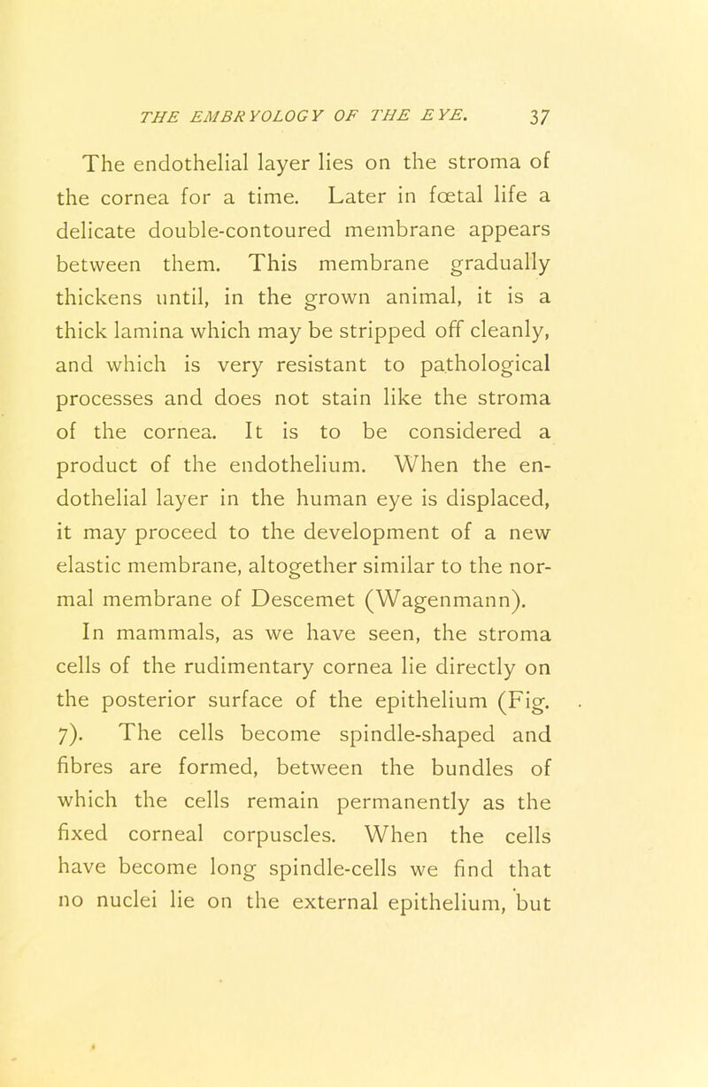 The endothelial layer lies on the stroma of the cornea for a time. Later in foetal life a delicate double-contoured membrane appears between them. This membrane gradually thickens until, in the grown animal, it is a thick lamina which may be stripped off cleanly, and which is very resistant to pathological processes and does not stain like the stroma of the cornea. It is to be considered a product of the endothelium. When the en- dothelial layer in the human eye is displaced, it may proceed to the development of a new elastic membrane, altogether similar to the nor- mal membrane of Descemet (Wagenmann). In mammals, as we have seen, the stroma cells of the rudimentary cornea lie directly on the posterior surface of the epithelium (Fig. 7). The cells become spindle-shaped and fibres are formed, between the bundles of which the cells remain permanently as the fixed corneal corpuscles. When the cells have become long spindle-cells we find that no nuclei lie on the external epithelium, but «