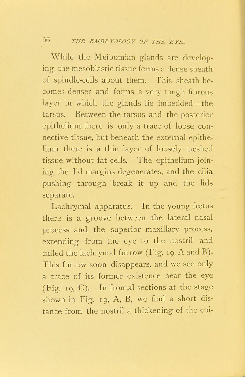While the Meibomian glands are develop- ing, the mesoblastic tissue forms a dense sheath of spindle-cells about them. This sheath be- comes denser and forms a very tough fibrous layer in which the glands lie imbedded—the tarsus. Between the tarsus and the posterior epithelium there is only a trace of loose con- nective tissue, but beneath the external epithe- lium there is a thin layer of loosely meshed tissue without fat cells. The epithelium join- ing the lid margins degenerates, and the cilia pushing through break it up and the lids separate. Lachrymal apparatus. In the young foetus there is a groove between the lateral nasal process and the superior maxillary process, extending from the eye to the nostril, and called the lachrymal furrow (Fig. 19, A and B). This furrow soon disappears, and we see only a trace of its former existence near the eye (Fig. 19, C). In frontal sections at the stage shown in Fig. 19, A, B, we find a short dis- tance from the nostril a thickening of the epi-