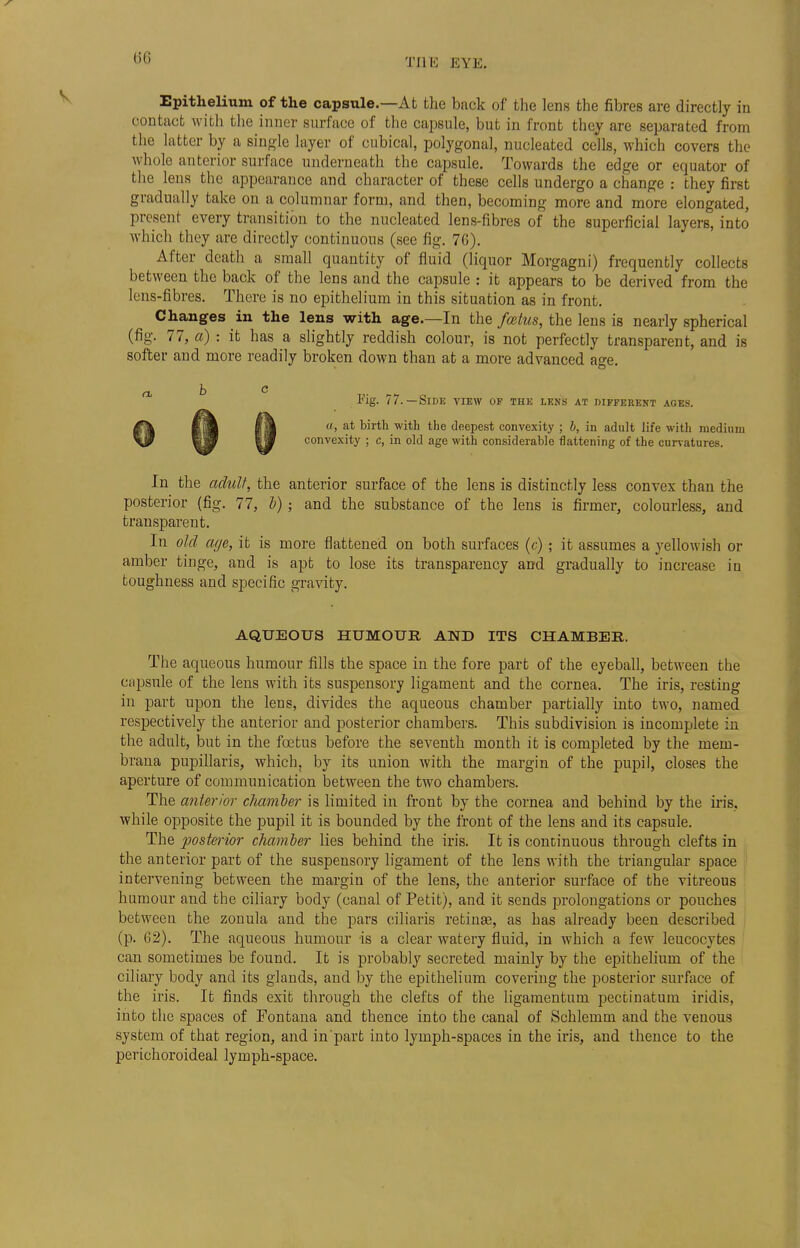 Epithelium of the capsule.—At the back of the lens the fibres are directly in contact with the inner surface of the capsule, but in front they are separated from the latter by a single layer of cubical, polygonal, nucleated cells, which covers the whole anterior surface underneath the capsule. Towards the edge or equator of the lens the appearance and character of these cells undergo a change : they first gradually take on a columnar form, and then, becoming more and more elongated, present every transition to the nucleated lens-fibres of the superficial layers, into which they are directly continuous (see fig. 7G). After death a small quantity of fluid (liquor Morgagni) frequently collects between the back of the lens and the capsule : it appears to be derived from the lens-fibres. There is no epithelium in this situation as in front. Changes in the lens with age.—In the foetus, the lens is nearly spherical (fig. 77, a) : it has a slightly reddish colour, is not perfectly transparent, and is softer and more readily broken down than at a more advanced age. Fig. 77.—Side view op the lens at different ages. a, at birth with the deepest convexity ; b, in adult life with medium convexity ; c, in old age with considerable flattening of the curvatures. In the adult, the anterior surface of the lens is distinctly less convex than the posterior (fig. 77, b); and the substance of the lens is firmer, colourless, and transparent. In old age, it is more flattened on both surfaces (c); it assumes a yellowish or amber tinge, and is apt to lose its transparency and gradually to increase in toughness and specific gravity. AQUEOUS HUMOUR AND ITS CHAMBER. The aqueous humour fills the space in the fore part of the eyeball, between the capsule of the lens with its suspensory ligament and the cornea. The iris, resting in part upon the lens, divides the aqueous chamber partially into two, named respectively the anterior and posterior chambers. This subdivision is incomplete in the adult, but in the foetus before the seventh month it is completed by the mein- brana pupillaris, which, by its union with the margin of the pupil, closes the aperture of communication between the two chambers. The anterior clmmber is limited in front by the cornea and behind by the iris, while opposite the pupil it is bounded by the front of the lens and its capsule. The posterior chamber lies behind the iris. It is continuous through clefts in the anterior part of the suspensory ligament of the lens with the triangular space intervening between the margiu of the lens, the anterior surface of the vitreous humour and the ciliary body (canal of Petit), and it sends prolongations or pouches between the zonula and the pars ciliaris retina?, as has already been described (p. G2). The aqueous humour is a clear watery fluid, in which a few leucocytes can sometimes be found. It is probably secreted mainly by the epithelium of the ciliary body and its glands, and by the epithelium covering the posterior surface of the iris. It finds exit through the clefts of the ligamentum pectinatum iridis, into the spaces of Fontana and thence into the canal of Schlemm and the venous system of that region, and in part into lymph-spaces in the iris, and thence to the perichoroideal lymph-space. 0 Q {I