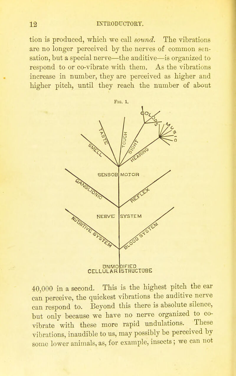 tion is produced, which we call sound. The vibrations are no longer perceived by the nerves of common sen- sation, but a special nerve—the auditive—is organized to respond to or co-vibrate with them. As the vibrations increase in number, they are perceived as higher and higher pitch, until they reach the number of about Fig. 1. ONMO CELLULAR 0IFIED STRUCTOBE 40,000 in a second. This is the highest pitch the ear can perceive, the quickest vibrations the auditive nerve can respond to. Beyond this there is absolute silence, but only because we have no nerve organized to co- vibrate with these more rapid undulations. ^ These vibrations, inaudible to us, may possibly be perceived by some lower animals, as, for example, insects; we can not