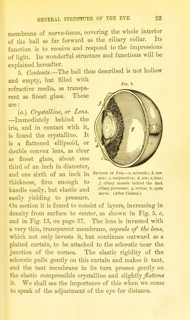 membrane of nerve-tissue, covering the whole interior of the ball as far forward as the ciliary collar. Its function is to receive and respond to the impressions of lio-ht. Its wonderful structure and functions will be explained hereafter. 5. Contents— The ball thus described is not hollow and empty, but filled with refractive media, as transpa- rent as finest glass. These are: (a.) Crystalline, or Zens. —Immediately behind the iris, and in contact with it, is found the crystalline. It is a flattened ellipsoid, or double convex lens, as clear as finest glass, about one third of an inch in diameter, and one sixth of an inch in thickness, firm enough to handle easily, but elastic and easily yielding to pressure. On section it is found to consist of layers, increasing in density from surface to center, as shown in Fig. 5, e, and in Fig. 13, on page 37. The lens is invested with a very thin, transparent membrane, capsule of the lens, which not only invests it, but continues outward as a plaited curtain, to be attached to the sclerotic near the junction of the cornea. The elastic rigidity of the sclerotic pulls gently on this curtain and makes it taut, and the taut membrane in its turn presses gently on the elastic Compressible crystalline and slightly flattens it. We shall see the importance of this when we come to speak of the adjustment of the eye for distance. Fio. 5. Section op Eye.—a, sclerotic; i>, cor- nea; c, conjunctiva; d, iris; e,lens; /, ciliary muscle behind the dark ciliary processes; g, retina; ft, optic nerve. (After Cleland.)