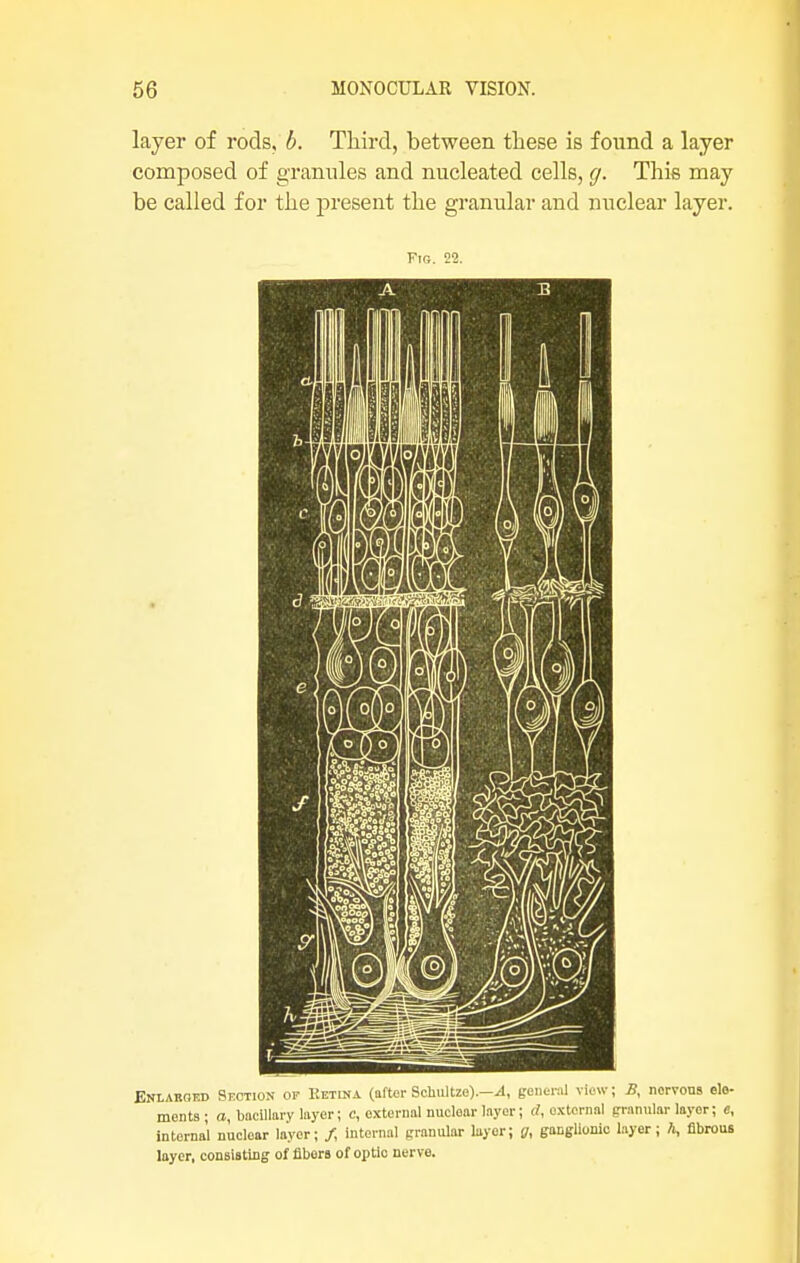 layer of rods, b. Third, between these is found a layer composed of granules and nucleated cells, g. This may be called for the present the granular and nuclear layer. Fig. 22. Enlarged Section of Ketina (after Schultzo).—A, general view; B, nervous ele- ments ; a, bacillary layer; c, external nucloar layer; rf, oxtcrnal granular layer; e, internal nuclear layer; /, Internal granular layer; g, ganglionic layer; h, fibrous layer, consisting of fibers of optic nerve.