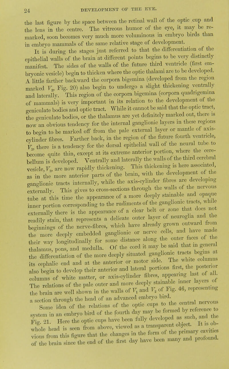 the last figure by the space between the retinal wall of the optic cup and the lens in the centre. The vitreous humor of the eye, it may be re- marked, soon becomes very much more voluminous in embryo birds than in embryo mammals of the same relative stage of development. It is during the stages just referred to that the differentiation of the epithelial walls of the brain at different points begins to be very distinctly manifest. The sides of the walls of the future tHrd venti-icle (first em- bryonic vesicle) begin to thicken where the optic thalami are to be developed. A little farther backward the corpora bigemina (developed from the region marked V„ Fig. 20) also begin to undergo a slight thickening ventraUy and laterally. This region of the coi-pora bigemina (corpora quadrigemina of mammals) is very important in its relation to the development of the geniculate bodies and optic tract. While it cannot be said that the optic tract, the geniculate bodies, or the thalamus are yet definitely marked out, there is now an obvious tendency for the internal ganglionic layers in these regions to begin to be marked off from the pale external layer or mantle of axis- cylinder fibres. Farther back, in the region of the future fourth ventricle, V there is a tendency for the dorsal epithelial wall of the neuml tube to become quite thin, except at its extreme anterior portion where the cere- bellum is developed. Ventrally and laterally the walls of the third cerebral vesicle, F3, are now rapidly thickening. This thickening is here associated, as in ihe more anterior parts of the brain, with the development of the ganglionic tracts internally, while the axis-cylinder fibi;es are developing externally. This gives to cross-sections through the walls of the nervous tube at this time the appearance of a more deeply stainable and opaque inner portion corresponding to the rudiments of the ganghomc tmcts, while externally there is Ihe appearance of a clear belt or zone that does no readily stain, that represents a delicate outer layer of neuroglia and the bet nnings of the nerve-fibres, which have already grown ou^vard from th^ mor! deeply embedded ganglionic or nerve cells, and have mad heir way longitudinally for some distance along the outer faces of the halamus' pons' and medulla. Of the cord it may be said that in gener the diffe;entiatbn of the more deeply situated ganglionic ^^-f^J^l^^^^ its cephalic end and at the anterior or motor side. The white col imns atso begin to develop their anterior and lateral portions first, the postenor eolumns of white matter, or axis-cylinder fibres, appearing last of all TVe relations of the pale outer and more deeply stainable inner layers of Te b^Iin are well shown in the walls of F. and F, of Fig. 46, representing a section through the head of an advanced embryo bird. Some idea of the relations of the optic cups to the central nervous systemTn In embryo bird of the fourth day may be formed by reference to f4 21 Here thi optic cups have been fully developed ^ such, and he whole head is seen from above, viewed as a transparent obj ct. It is ob Ins from th s figure that the changes in the form of the primary cav. es Tthe brl since'the end of the first day have been many and profound.