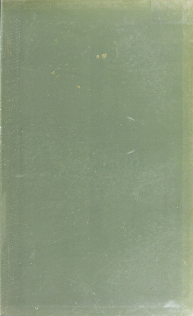 digitised image 3