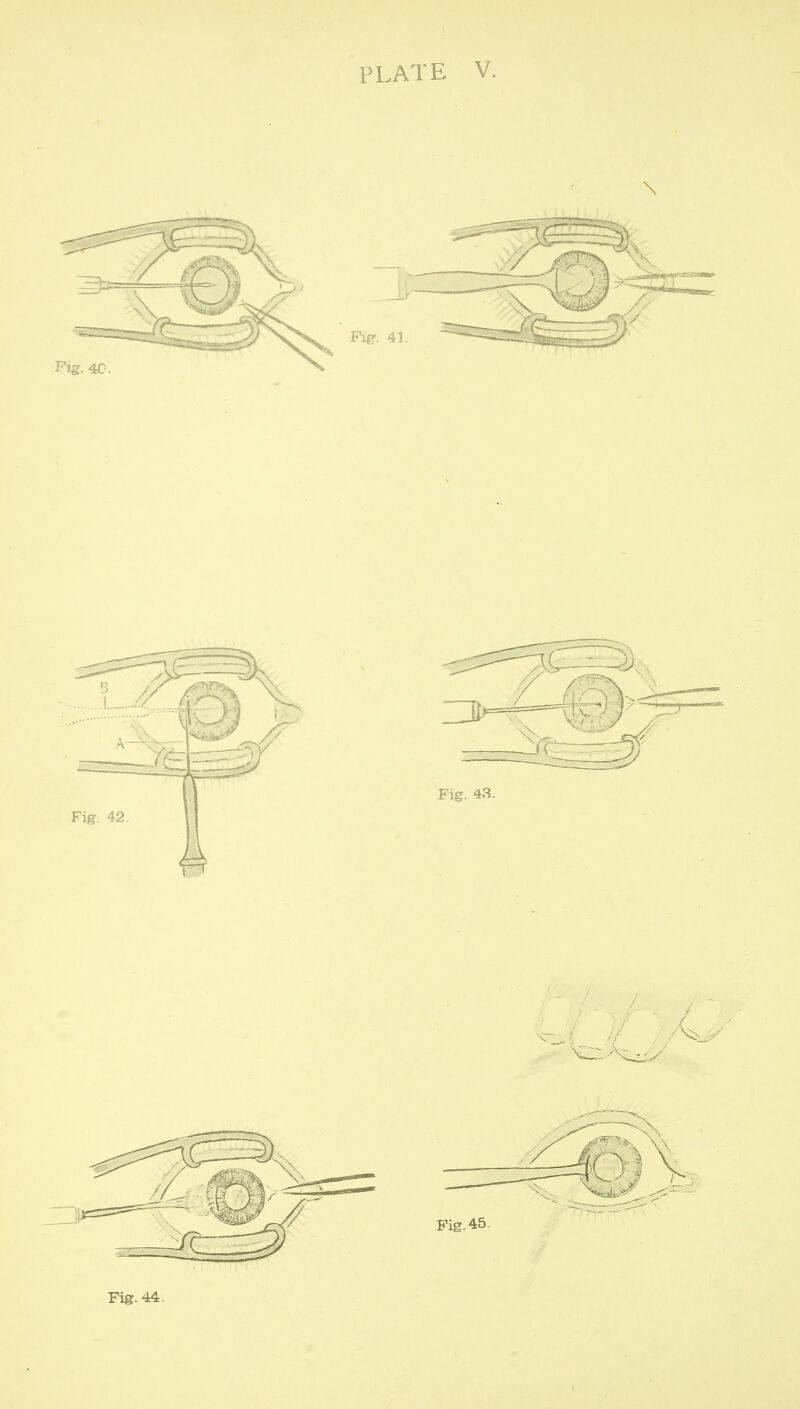 PLATE V. Fig. 44.