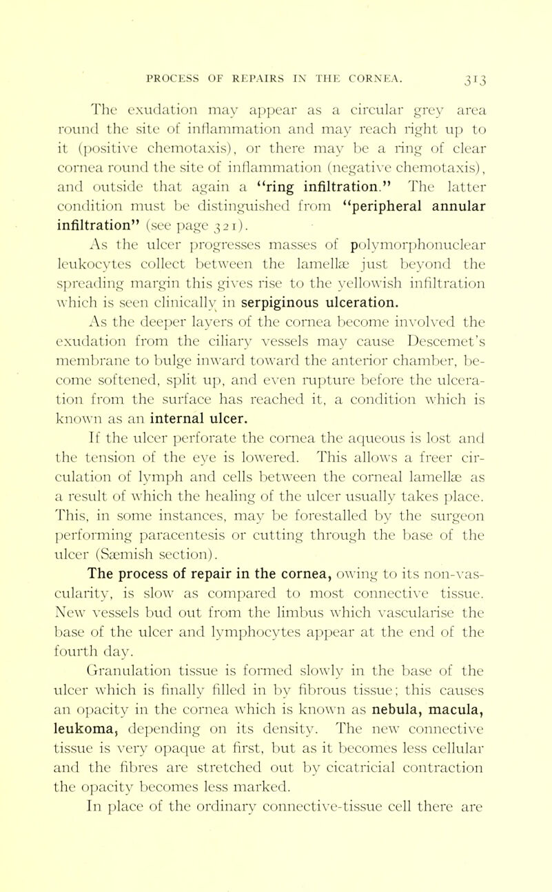 The exudation may appear as a circular grey area round the site of inflammation and may reach right up to it (positixe ehemotaxis), or there may be a ring of clear cornea rountl the site of inflammation (ncgatix'e ehemotaxis), and outside that again a ring infiltration. The latter condition must be distinguished from peripheral annular infiltration (see page 321). As the ulcer progresses masses of polymorphonuclear leukocytes collect between the lamellae just beyond the spreading margin this gives rise to the yellowish infiltration which is seen clinically in serpiginous ulceration. As the deeper layers of the comea become involved the exudation from the ciliary vessels may cause Descemet's meml )rane to bulge inward toward the anterior chamber, be- come softened, split up, and even rupture before the ulcera- tion from the surface has reached it, a condition which is known as an internal ulcer. If the ulcer perforate the cornea the aqtieous is lost and the tension of the eye is lowered. This allows a freer cir- culation of lymph and cells between the corneal lamellcC as a result of which the healing of the ulcer usually takes place. This, in some instances, may be forestalled by the surgeon performing paracentesis or cutting through the base of the ulcer (Saemish section). The process of repair in the cornea, owing to its non-A as- cularity, is slow as compared to most connective tissue. New vessels bud out from the limbus which vascularise the base of the ulcer and lymphocytes appear at the end of the fourth day. Granulation tissue is formed slowly in the base of the ulcer which is finally filled in by fibrous tissue; this causes an opacity in the cornea which is known as nebula, macula, leukoma, depending on its density. The new connective tissue is very opaque at first, but as it becomes less cellular and the fibres are stretched out by cicatricial contraction the opacity becomes less marked. In place of the ordinary connecti\'e-tissue cell there are