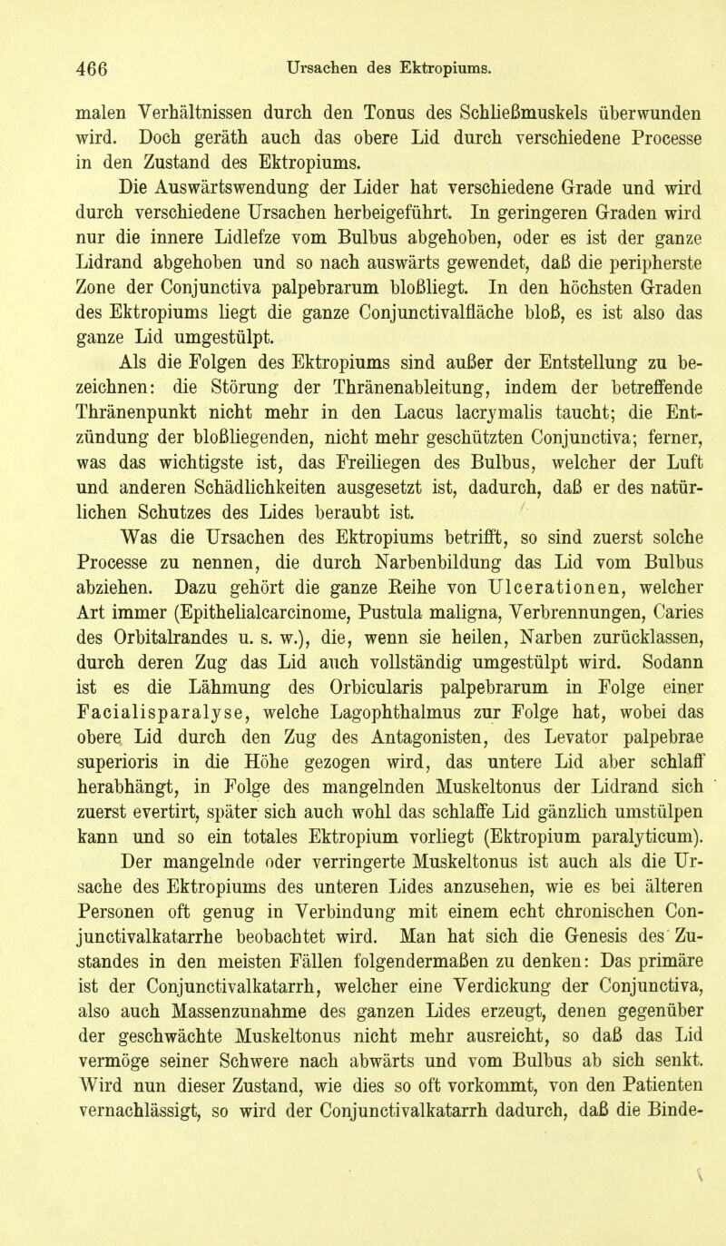 malen Verhältnissen durch den Tonus des Schließmuskels überwunden wird. Doch geräth auch das obere Lid durch verschiedene Processe in den Zustand des Ektropiums. Die Auswärtswendung der Lider hat verschiedene Grade und wird durch verschiedene Ursachen herbeigeführt. In geringeren Graden wird nur die innere Lidlefze vom Bulbus abgehoben, oder es ist der ganze Lidrand abgehoben und so nach auswärts gewendet, daß die peripherste Zone der Conjunctiva palpebrarum bloßliegt. In den höchsten Graden des Ektropiums liegt die ganze Conjunctivalfläche bloß, es ist also das ganze Lid umgestülpt. Als die Folgen des Ektropiums sind außer der Entstellung zu be- zeichnen: die Störung der Thränenableitung, indem der betreffende Thränenpunkt nicht mehr in den Lacus lacrymalis taucht; die Ent- zündung der bloßliegenden, nicht mehr geschützten Conjunctiva; ferner, was das wichtigste ist, das Freiliegen des Bulbus, welcher der Luft und anderen Schädlichkeiten ausgesetzt ist, dadurch, daß er des natür- lichen Schutzes des Lides beraubt ist. Was die Ursachen des Ektropiums betrifft, so sind zuerst solche Processe zu nennen, die durch Narbenbildung das Lid vom Bulbus abziehen. Dazu gehört die ganze Reihe von Ulcerationen, welcher Art immer (Epithelialcarcinome, Pustula maligna, Verbrennungen, Caries des Orbitalrandes u. s. w.), die, wenn sie heilen, Narben zurücklassen, durch deren Zug das Lid auch vollständig umgestülpt wird. Sodann ist es die Lähmung des Orbicularis palpebrarum in Folge einer Facialisparalyse, welche Lagophthalmus zur Folge hat, wobei das obere Lid durch den Zug des Antagonisten, des Levator palpebrae superioris in die Höhe gezogen wird, das untere Lid aber schlaff herabhängt, in Folge des mangelnden Muskeltonus der Lidrand sich zuerst evertirt, später sich auch wohl das schlaffe Lid gänzlich umstülpen kann und so ein totales Ektropium vorliegt (Ektropium paralyticum). Der mangelnde oder verringerte Muskeltonus ist auch als die Ur- sache des Ektropiums des unteren Lides anzusehen, wie es bei älteren Personen oft genug in Verbindung mit einem echt chronischen Con- junctivalkatarrhe beobachtet wird. Man hat sich die Genesis des Zu- standes in den meisten Fällen folgendermaßen zu denken: Das primäre ist der Conjunctivalkatarrh, welcher eine Verdickung der Conjunctiva, also auch Massenzunahme des ganzen Lides erzeugt, denen gegenüber der geschwächte Muskeltonus nicht mehr ausreicht, so daß das Lid vermöge seiner Schwere nach abwärts und vom Bulbus ab sich senkt. Wird nun dieser Zustand, wie dies so oft vorkommt, von den Patienten vernachlässigt, so wird der Conjunctivalkatarrh dadurch, daß die Binde-