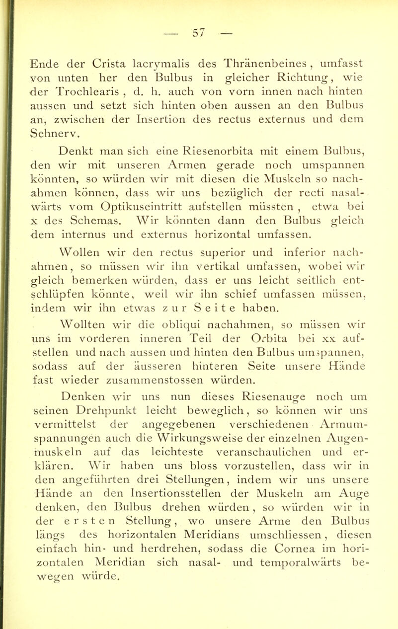 Ende der Crista lacrymalis des Thränenbeines , umfasst von unten her den Bulbus in gleicher Richtung, wie der Trochlearis , d. h. auch von vorn innen nach hinten aussen und setzt sich hinten oben aussen an den Bulbus an, zwischen der Insertion des rectus externus und dem Sehnerv. Denkt man sich eine Riesenorbita mit einem Bulbus, den wir mit unseren Armen gerade noch umspannen könnten, so würden wir mit diesen die Muskeln so nach- ahmen können, dass wir uns bezüglich der recti nasal- wärts vom Optikuseintritt aufstellen müssten , etwa bei x des Schemas. Wir könnten dann den Bulbus gleich dem internus und externus horizontal umfassen. Wollen wir den rectus superior und inferior nach- ahmen, so müssen wir ihn vertikal umfassen, wobei wir gleich bemerken würden, dass er uns leicht seitlich ent- schlüpfen könnte, weil wir ihn schief umfassen müssen, indem wir ihn etwas zur Seite haben. Wollten wir die obliqui nachahmen, so müssen wir uns im vorderen iunereu Teil der Orbita bei xx auf- stellen und nach aussen und hinten den Bulbus umspannen, sodass auf der äusseren hinteren Seite unsere Hände fast wieder zusammenstossen würden. Denken wir uns nun dieses Riesenau^e noch um seinen Drehpunkt leicht beweglich, so können wir uns vermittelst der angegebenen verschiedenen Armum- spannungen auch die Wirkungsweise der einzelnen Augen- muskeln auf das leichteste veranschaulichen und er- klären. Wir haben uns bloss vorzustellen, dass wir in den angeführten drei Stellungen, indem wir uns unsere Hände an den Insertionsstellen der Muskeln am Auge denken, den Bulbus drehen würden , so würden wir in der ersten Stellung, wo unsere Arme den Bulbus längs des horizontalen Meridians umschliessen, diesen einfach hin- und herdrehen, sodass die Cornea im hori- zontalen Meridian sich nasal- und temporalwärts be- wegen würde.