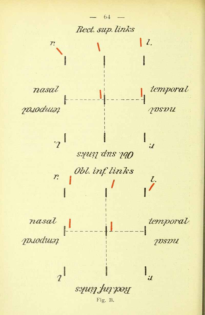 Beet sup. links TT l \l. \ X I nascol r. , I Ohl. Infi linfcs i i temporal H l. / nasaZ v i1 ii i temporal/ l l Fig. B.