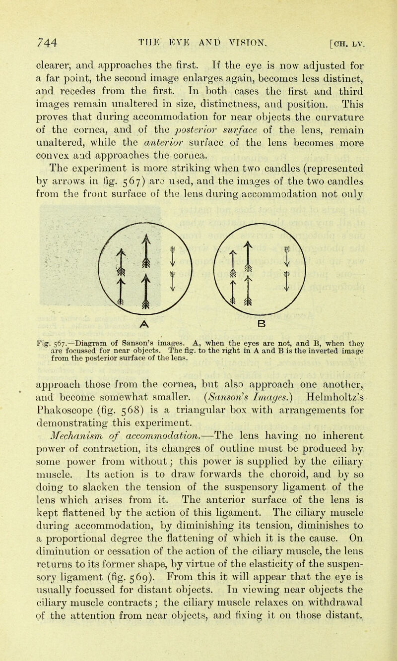 clearer, and approaches the first. If the eye is now adjusted for a far point, the second image enlarges again, becomes less distinct, and recedes from the first. In both cases the first and third images remain unaltered in size, distinctness, and position. This proves that during accommodation for near objects the curvature of the cornea, and of the posterior surface of the lens, remain unaltered, while the anterior surface of the lens becomes more convex and approaches the cornea. The experiment is more striking when two candles (represented by arrows in fig. 567) arc used, and the images of the two candles from the front surface of the lens during accommodation not only Fig. 567.—Diagram of Sanson's images. A, when the eyes are not, and B, when they are focussed for near objects. The fig. to the right in A and B is the inverted image from the posterior surface of the lens. approach those from the cornea, but also approach one another, and become somewhat smaller. (Sanson's Images.) Helmholtz's Phakoscope (fig. 568) is a triangular box with arrangements for demonstrating this experiment. Mechanism of accommodation.—The lens having no inherent power of contraction, its changes of outline must be produced by some power from without; this power is supplied by the ciliary muscle. Its action is to draw forwards the choroid, and by so doing to slacken the tension of the suspensory ligament of the lens which arises from it. The anterior surface of the lens is kept flattened by the action of this ligament. The ciliary muscle during accommodation, by diminishing its tension, diminishes to a proportional degree the flattening of which it is the cause. On diminution or cessation of the action of the ciliary muscle, the lens returns to its former shape, by virtue of the elasticity of the suspen- sory ligament (fig. 569). From this it will appear that the eye is usually focussed for distant objects. In viewing near objects the ciliary muscle contracts ; the ciliary muscle relaxes on withdrawal of the attention from near objects, and fixing it on those distant, A B