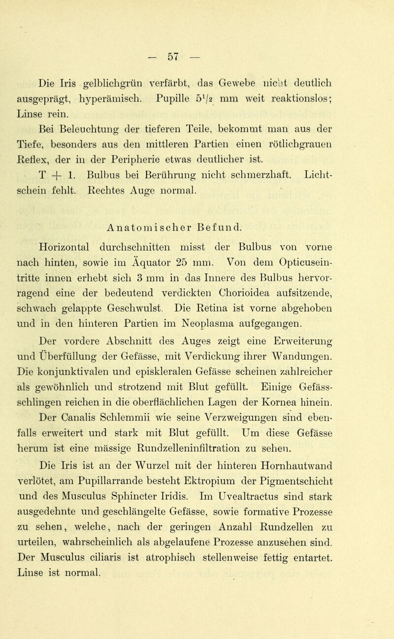 Die Iris gelblicligrün verfärbt, das Gewebe nicht deutlich ausgeprägt, hyperämisch. Pupille 6^/2 mm weit reaktionslos; Linse rein. Bei Beleuchtung der tieferen Teile, bekommt man aus der Tiefe, besonders aus den mittleren Partien einen rötlichgrauen Peflex, der in der Peripherie etwas deuthcher ist. T + 1. Bulbus bei Berührung nicht schmerzhaft. Licht- schein fehlt. Rechtes Auge normal. Anatomischer Befund. Horizontal durchschnitten misst der Bulbus von vorne nach hinten, sowie im Äquator 25 mm. Von dem Opticusein- tritte innen erhebt sich 3 mm in das Innere des Bulbus hervor- ragend eine der bedeutend verdickten Chorioidea aufsitzende, schwach gelappte Geschwulst. Die Retina ist vorne abgehoben und in den hinteren Partien im Neoplasma aufgegangen. Der vordere Abschnitt des Auges zeigt eine Erweiterung und Überfüllung der Gefässe, mit Verdickung ihrer Wandungen. Die konjunktivalen und episkleralen Gefässe scheinen zahlreicher als gewöhnlich und strotzend mit Blut gefüllt. Einige Gefäss- schlingen reichen in die oberflächlichen Lagen der Kornea hinein. Der Canalis Sehlemmii wie seine Verzweigungen sind eben- falls erweitert und stark mit Blut gefüllt. Um diese Gefässe herum ist eine mässige Rund Zelleninfiltration zu sehen. Die Iris ist an der Wurzel mit der hinteren Hornhautwand verlötet, am Pupillarrande besteht Ektropium der Pigmentschicht und des Musculus Sphincter Iridis. Im üvealtractus sind stark ausgedehnte und geschlängelte Gefässe, sowie formative Prozesse zu sehen, welche, nach der geringen Anzahl Rundzellen zu urteilen, wahrscheinhch als abgelaufene Prozesse anzusehen sind. Der Musculus ciliaris ist atrophisch stellenweise fettig entartet. Linse ist normal.