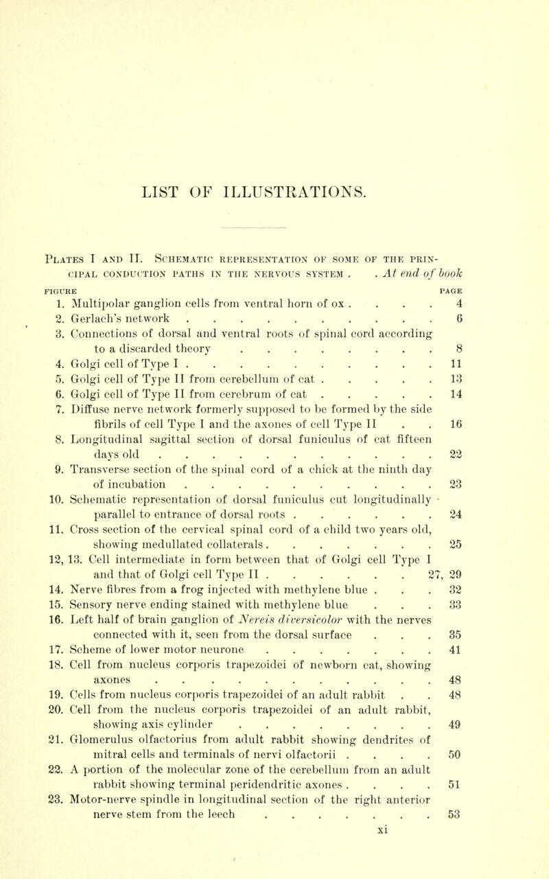 Plates I and II. Schematic representation of some of the prin- cipal CONDUCTION PATHS IN THE NERVOUS SYSTEM . . At end of book FIGURE PAGE 1. Multipolar ganglion cells from ventral horn of ox . . . . 4 2. Gerlach's network 6 3. Connections of dorsal and ventral roots of spinal cord according to a discarded theory 8 4. Golgi cell of Type I 11 5. Golgi cell of Type II from cerebellum of cat 13 6. Golgi cell of Type II from cerebrum of cat 14 7. Diffuse nerve network formerly supposed to be formed by the side fibrils of cell Type I and the axones of cell Type II . .16 8. Longitudinal sagittal section of dorsal funiculus of cat fifteen davs old 22 9. Transverse section of the spinal cord of a chick at the ninth day of incubation 23 10. Schematic representation of dorsal funiculus cut longitudinally - parallel to entrance of dorsal roots 24 11. Cross section of the cervical spinal cord of a child two years old, showing medullated collaterals .25 12. 13. Cell intermediate in form between that of Golgi cell Type I and that of Golgi cell Type II 27, 29 14. Nerve fibres from a frog injected with methylene blue . . . 32 15. Sensory nerve ending stained with methylene blue ... 33 16. Left half of brain ganglion of Nereis diversicolor with the nerves connected with it, seen from the dorsal surface . . . 35 17. Scheme of lower motor neurone 41 18. Cell from nucleus corporis trapezoidei of newborn cat, showing axones . 48 19. Cells from nucleus corporis trapezoidei of an adult rabbit . . 48 20. Cell from the nucleus corporis trapezoidei of an adult rabbit, showing axis cylinder . . 49 21. Glomerulus olfactorius from adult rabbit showing dendrites of mitral cells and terminals of nervi olfactorii .... 50 22. A portion of the molecular zone of the cerebellum from an adult rabbit showing terminal peridendritic axones .... 51 23. Motor-nerve spindle in longitudinal section of the right anterior nerve stem from the leech ....... 53