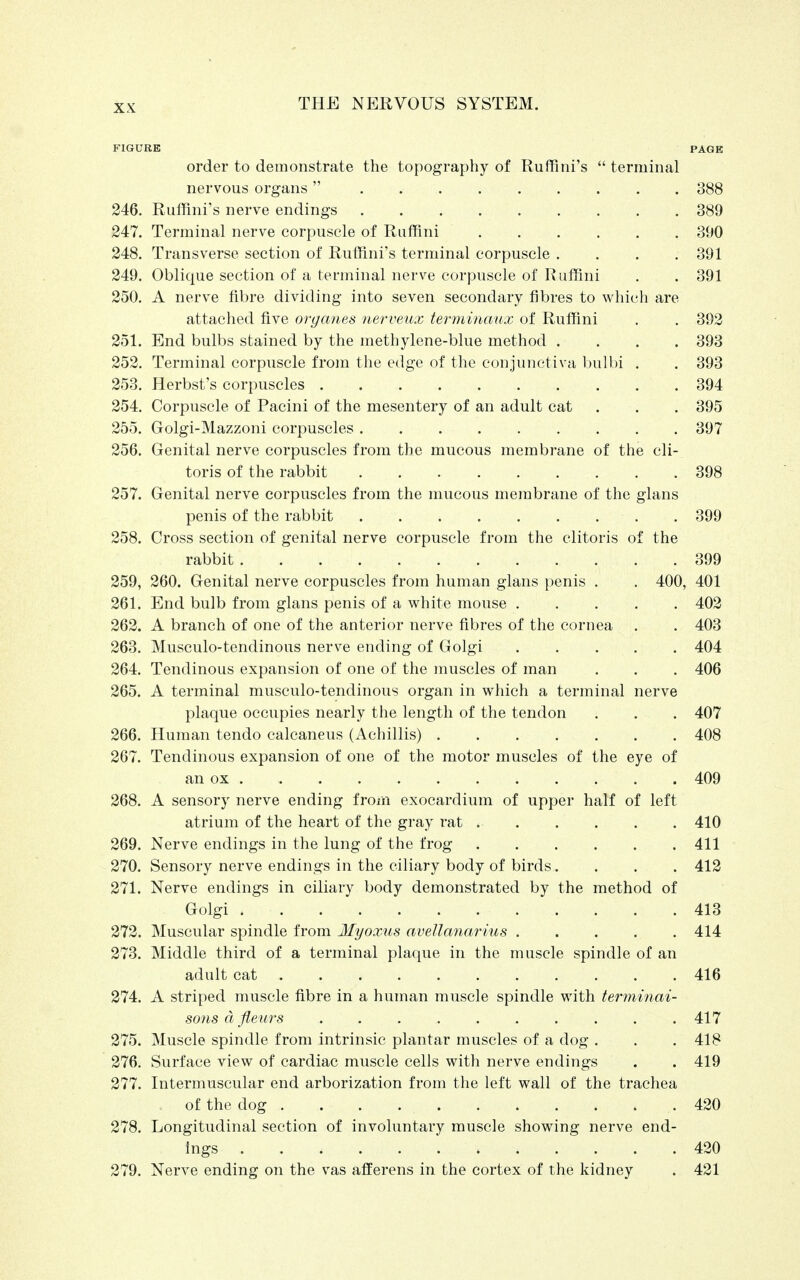 FIGURE PAGE order to demonstrate the topography of Ruffini's  terminal nervous organs 388 246. Ruffini's nerve endings 389 247. Terminal nerve corpuscle of Ruffini 390 248. Transverse section of Ruffini's terminal corpuscle .... 391 249. Oblique section of a terminal nerve corpuscle of Ruffini . . 391 250. A nerve fibre dividing into seven secondary fibres to which are attached five organes nerveux terminaux of Ruffini . . 392 251. End bulbs stained by the methylene-blue method .... 393 252. Terminal corpuscle from the edge of the conjunctiva bulbi . . 393 253. Herbst's corpuscles 394 254. Corpuscle of Pacini of the mesentery of an adult cat . . . 395 255. Golgi-Mazzoni corpuscles . . 397 256. Genital nerve corpuscles from the mucous membrane of the cli- toris of the rabbit 398 257. Genital nerve corpuscles from the mucous membrane of the glans penis of the rabbit 399 258. Cross section of genital nerve corpuscle from the clitoris of the rabbit . . . . . 399 259. 260. Genital nerve corpuscles from human glans penis . . 400, 401 261. End bulb from glans penis of a white mouse 402 262. A branch of one of the anterior nerve fibres of the cornea . . 403 263. Musculotendinous nerve ending of Golgi 404 264. Tendinous expansion of one of the muscles of man . . . 406 265. A terminal musculo-tendinous organ in which a terminal nerve plaque occupies nearly the length of the tendon . . . 407 266. Human tendo calcaneus (Achillis) 408 267. Tendinous expansion of one of the motor muscles of the eye of an ox 409 268. A sensory nerve ending from exocardium of upper half of left atrium of the heart of the gray rat 410 269. Nerve endings in the lung of the frog 411 270. Sensory nerve endings in the ciliary body of birds.... 412 271. Nerve endings in ciliary body demonstrated by the method of Golgi 413 272. Muscular spindle from Myoxus aveManarius 414 273. Middle third of a terminal plaque in the muscle spindle of an adult cat . . . 416 274. A striped muscle fibre in a human muscle spindle with terminai- sons d fleurs ........... 417 275. Muscle spindle from intrinsic plantar muscles of a dog . . . 418 276. Surface view of cardiac muscle cells with nerve endings . . 419 277. Intermuscular end arborization from the left wall of the trachea . of the dog . . . ... . . . . . .. 420 278. Longitudinal section of involuntary muscle showing nerve end- ings 420 279. Nerve ending on the vas afferens in the cortex of the kidney . 421