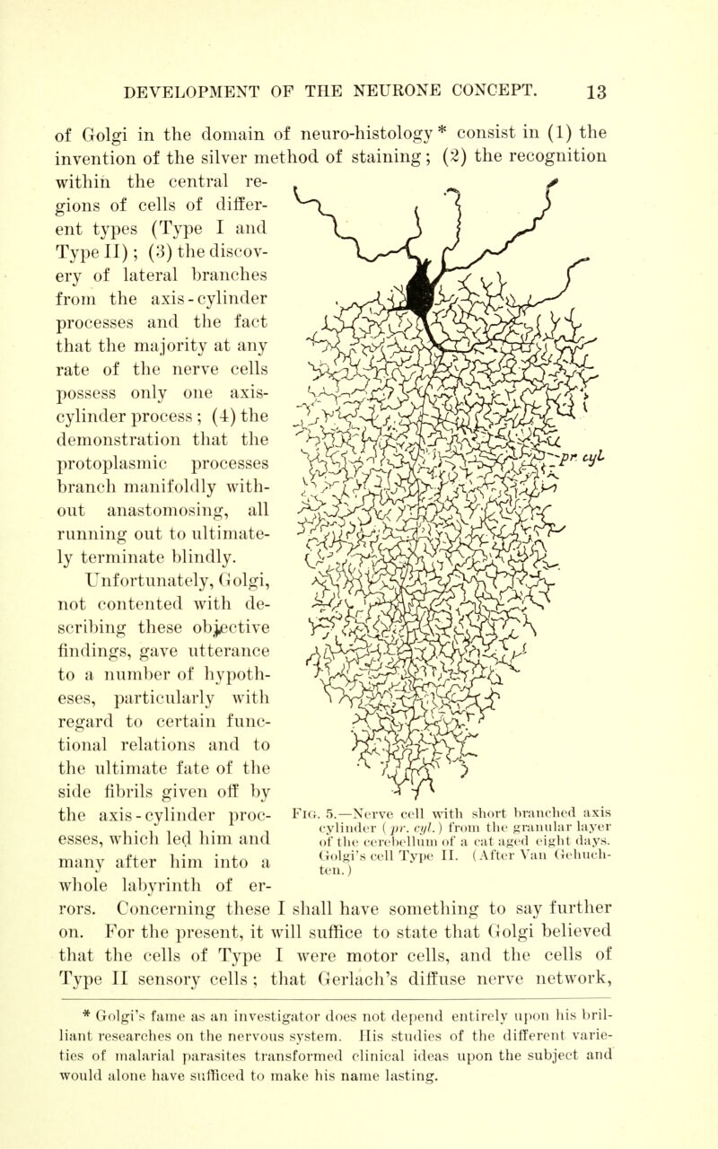 of Golgi in the domain of neuro-histology * consist in (1) the invention of the silver method of staining; (2) the recognition within the central re- gions of cells of differ- ent types (Type I and Type II); (3) the discov- ery of lateral branches from the axis - cylinder processes and the fact that the majority at any rate of the nerve cells possess only one axis- cylinder process; (4) the demonstration that the protoplasmic processes branch manifoldly with- out anastomosing, all running out to ultimate- ly terminate blindly. Unfortunately, Golgi, not contented with de- scribing these objective findings, gave utterance to a number of hypoth- eses, particularly with regard to certain func- tional relations and to the ultimate fate of the side fibrils given off by the axis - cylinder proc- esses, which led him and many after him into a whole labyrinth of er- rors. Concerning these I shall have something to say further on. For the present, it will suffice to state that Golgi believed that the cells of Type I were motor cells, and the cells of Type II sensory cells ; that Gerlach's diffuse nerve network, * Golgi's fame as an investigator does not depend entirely upon his bril- liant researches on the nervous system. His studies of the different varie- ties of malarial parasites transformed clinical ideas upon the subject and would alone have sufficed to make his name lasting. Fig. 5.—Nerve cell with short branched axis cylinder {pr. cyl.) from the granular layer of the cerehellum of a cat aged eight days. Golgi's cell Type II. (After Van Gehnch- ten.)