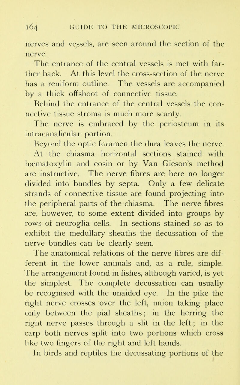 nerves and vessels, are seen around the section of the nerve. The entrance of the central vessels is met with far- ther back. At this level the cross-section of the nerve has a reniform outline. The vessels are accompanied by a thick offshoot of connective tissue. Behind the entrance of the central vessels the con- nective tissue stroma is much more scanty. The nerve is embraced by the periosteum in its intracanalicular portion. Beyond the optic foramen the dura leaves the nerve. At the chiasma horizontal sections stained with hasmatoxylin and eosin or by Van Gieson's method are instructive. The nerve fibres are here no longer divided into bundles by septa. Only a few delicate strands of connective tissue are found projecting- into the peripheral parts of the chiasma. The nerve fibres are, however, to some extent divided into groups by rows of neuroglia cells. In sections stained so as to exhibit the medullary sheaths the decussation of the nerve bundles can be clearly seen. The anatomical relations of the nerve fibres are dif- ferent in the lower animals and, as a rule, simple. The arrangement found in fishes, although varied, is yet the simplest. The complete decussation can usually be recognised with the unaided eye. In the pike the right nerve crosses over the left, union taking place only between the pial sheaths; in the herring the right nerve passes through a slit in the left; in the carp both nerves split into two portions which cross like two fingers of the right and left hands. In birds and reptiles the decussating portions of the