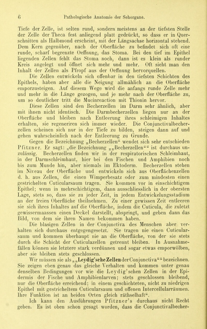 Tiefe der Zelle, ist selten rund, sondern meistens an der tiefsten Stelle der Zelle der Theca fest anliegend platt gedrückt, so dass er in Quer- schnitten als Halbmond erscheint, mit der Längsachse horizontal stehend. Dem Kern gegenüber, nach der Oberfläche zu befindet sich oft eine runde, scharf begrenzte Oeffnung, das Stoma. Bei den tief im Epithel liegenden Zellen fehlt das Stoma noch, dann ist es klein als runder Kreis angelegt und öffnet sich mehr und mehr. Oft sieht man den Inhalt der Zellen als Pfropf aus der Oeffnung hervorquellen. Die Zellen entwickeln sich offenbar in den tiefsten Schichten des Epithels, haben aber alle die Neigung allmählich an die Oberfläche emporzusteigen. Auf diesem Wege wird die anfangs runde Zelle mehr und mehr in die Länge gezogen, und je mehr nach der Oberfläche zu, um so deutlicher tritt die Mucinreaction mit Thionin hervor. Diese Zellen sind den Becherzellen im Darm sehr ähnlich, aber mit ihnen nicht identisch. Die Darmbecherzellen liegen nur an der Oberfläche und bleiben nach Entleerung ihres schleimigen Inhaltes erhalten, sie regeneriren sich immer wieder. Die Conjunctivalbecher- zellen scheinen sich nur in der Tiefe zu bilden, steigen dann auf und gehen wahrscheinlich nach der Entleerung zu Grunde. Gegen die Bezeichnung „Becherzellen wendet sich sehr entschieden Pfitzner. Er sagt: „die Bezeichnung „„Becherzellen ist durchaus un- zulässig. Becherzellen finden wir in der respiratorischen Schleimhaut, in der Darmschleimhaut, hier bei den Fischen und Amphibien noch bis zum Munde hin, aber niemals im Ektoderm. Becherzellen stehen im Niveau der Oberfläche und entwickeln sich aus Oberflächenzellen d. h. aus Zellen, die einen Wimperbesatz oder zum mindesten einen gestrichelten Cuticularsaum tragen. Sie kommen vor in einschichtigem Epithel; wenn in mehrschichtigem, dann ausschliesslich in der obersten Lage, stets so, dass sie zu jeder Zeit, in jedem Entwickelungsstadium an der freien Oberfläche theilnehmen. Zu einer gewissen Zeit entleeren sie sich ihres Inhaltes auf die Oberfläche, indem die Cuticula, die zuletzt gewissermaassen einen Deckel darstellt, abspringt, und geben dann das Bild, von dem sie ihren Namen bekommen haben. Die blasigen Zellen in der Conjunctiva des Menschen aber ver- halten sich durchaus entgegengesetzt. Sie tragen nie einen Cuticular- saum und kommen überhaupt nie an die Oberfläche, von der sie stets durch die Schicht der Cuticulazellen getrennt bleiben. In Ausnahme- fällen können sie letztere stark verdünnen und sogar etwas emporwölben, aber sie bleiben stets geschlossen. Wir müssen sie als „„Leydig'sche Zellen der Conjunctiva bezeichnen. Sie zeigen eben genau das gleiche Verhalten und kommen unter genau denselben Bedingungen vor wie die Leydig'sehen Zellen in der Epi- dermis der Fische und Amphibienlarven; stets geschlossen bleibend, nur die Oberfläche erreichend; in einem geschichteten, nicht zu niedrigen Epithel mit gestricheltem Cuticularsaum und offenen Intercellularräumen. Ihre Funktion ist an beiden Orten gleich räthselhaft. Ich kann den Ausführungen Pfitzner's durchaus nicht Recht geben. Es ist oben schon gesagt worden, dass die Conjunctivalbecher-